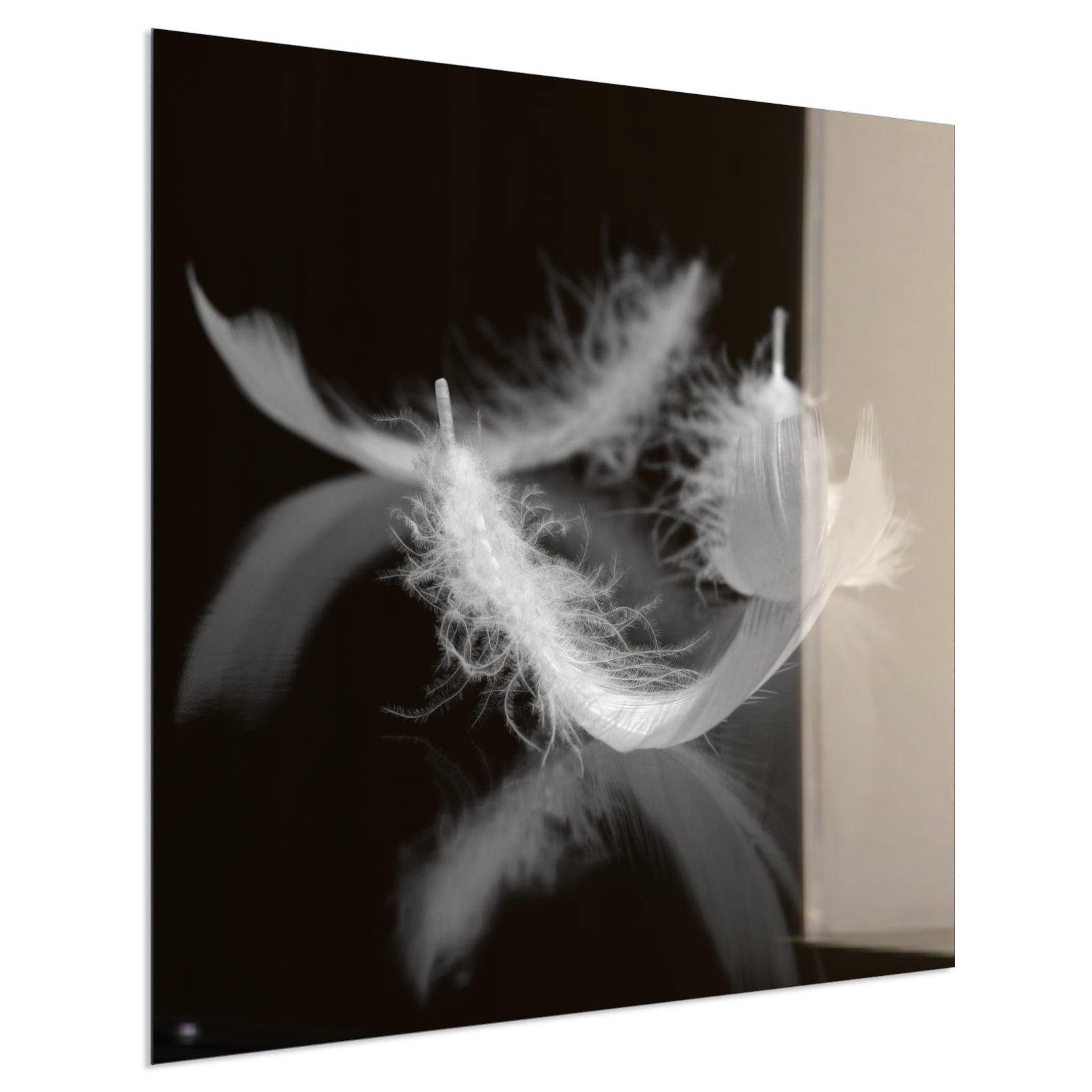 Deko Glas Wandbild Motiv 018 Federn Schwarz Weiß