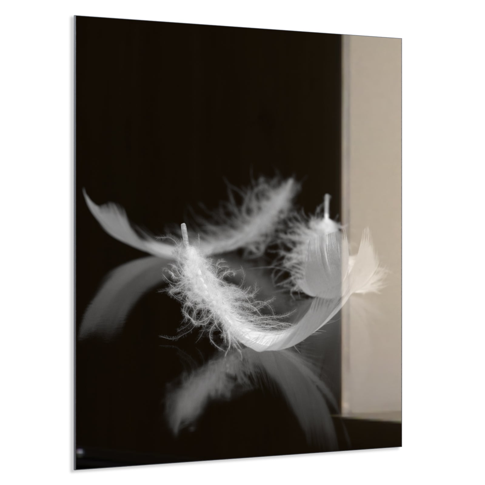 Deko Glas Wandbild Motiv 018 Federn Schwarz Weiß