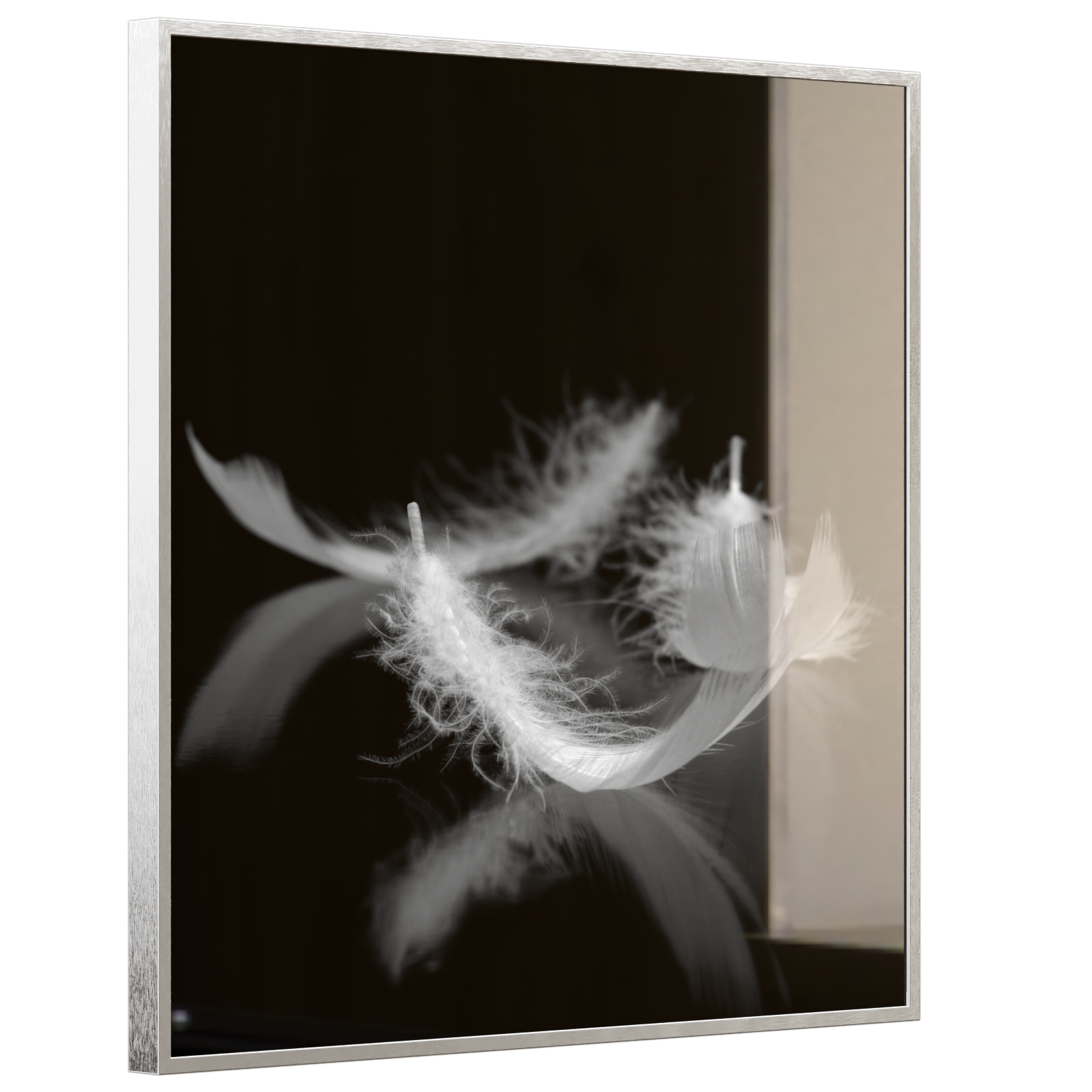 Deko Glas Wandbild Motiv 018 Federn Schwarz Weiß