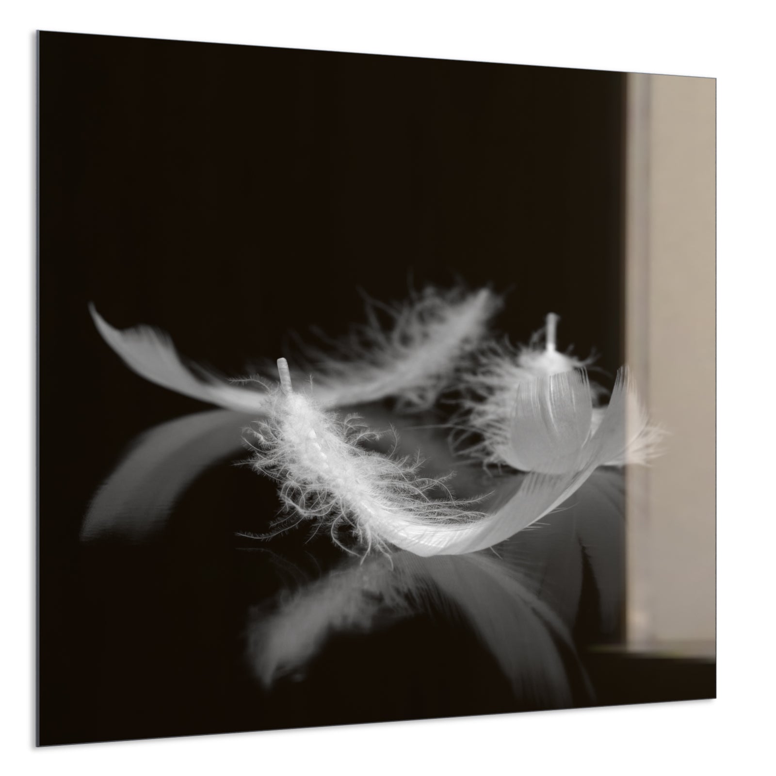 Deko Glas Wandbild Motiv 018 Federn Schwarz Weiß