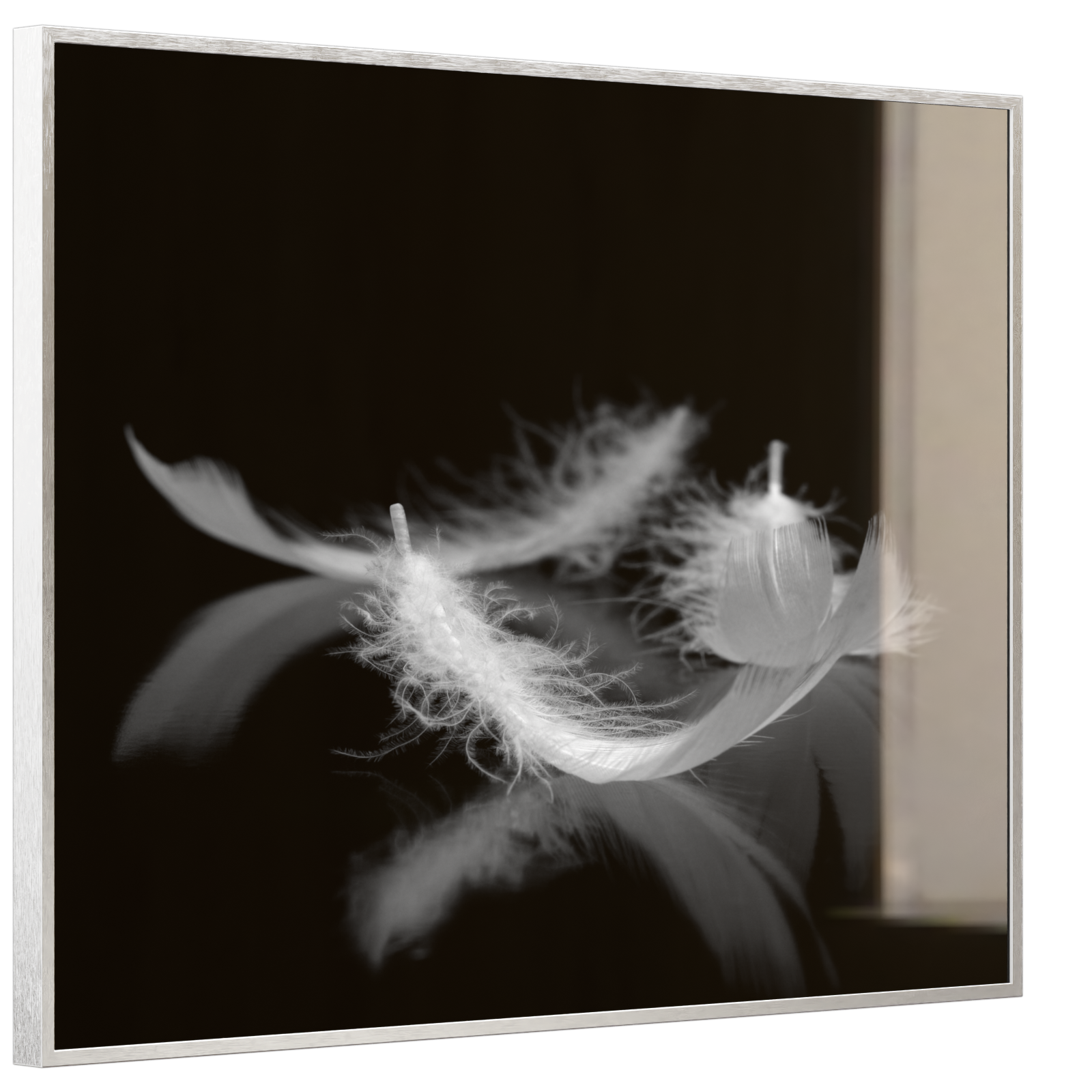 Deko Glas Wandbild Motiv 018 Federn Schwarz Weiß