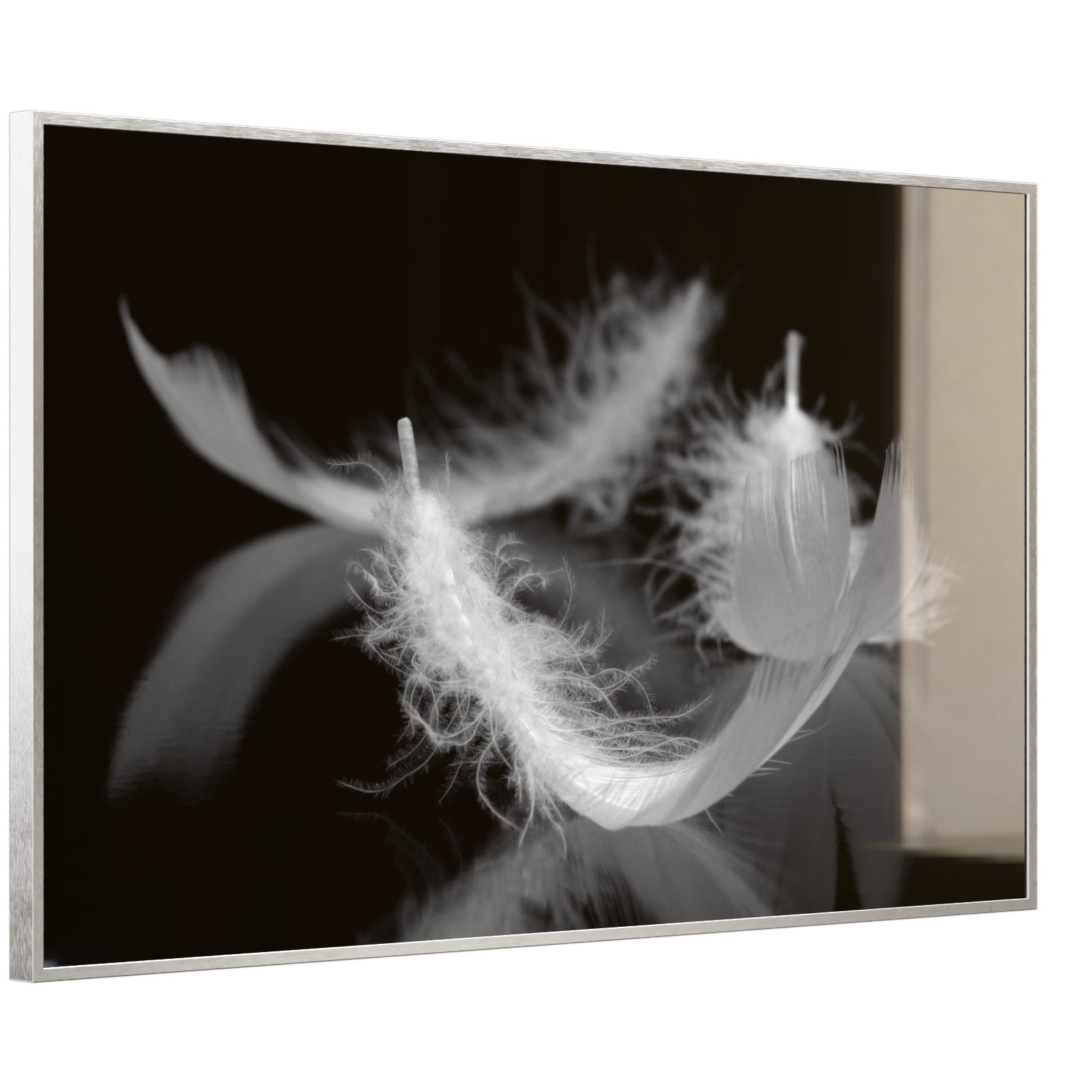 Deko Glas Wandbild Motiv 018 Federn Schwarz Weiß