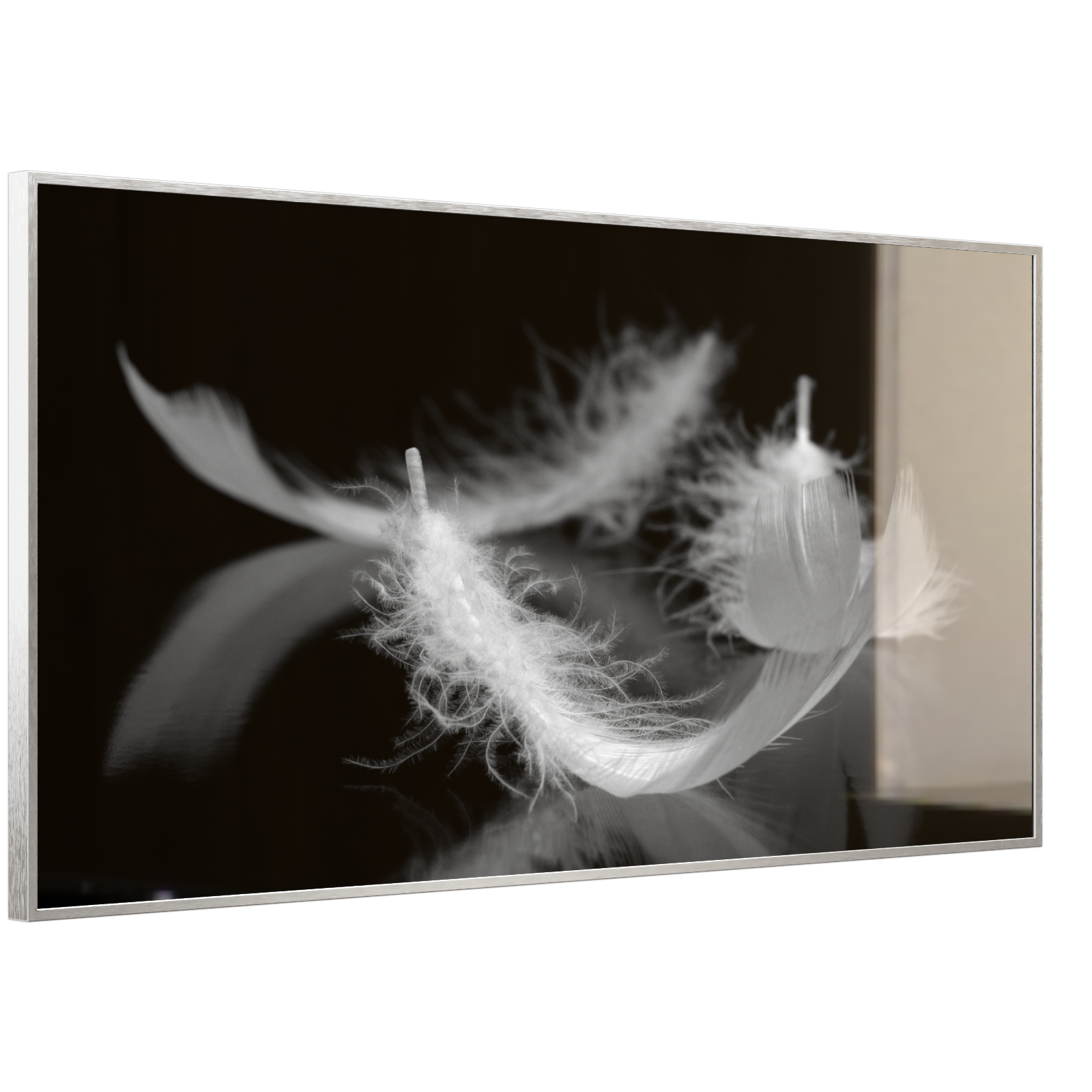 Deko Glas Wandbild Motiv 018 Federn Schwarz Weiß