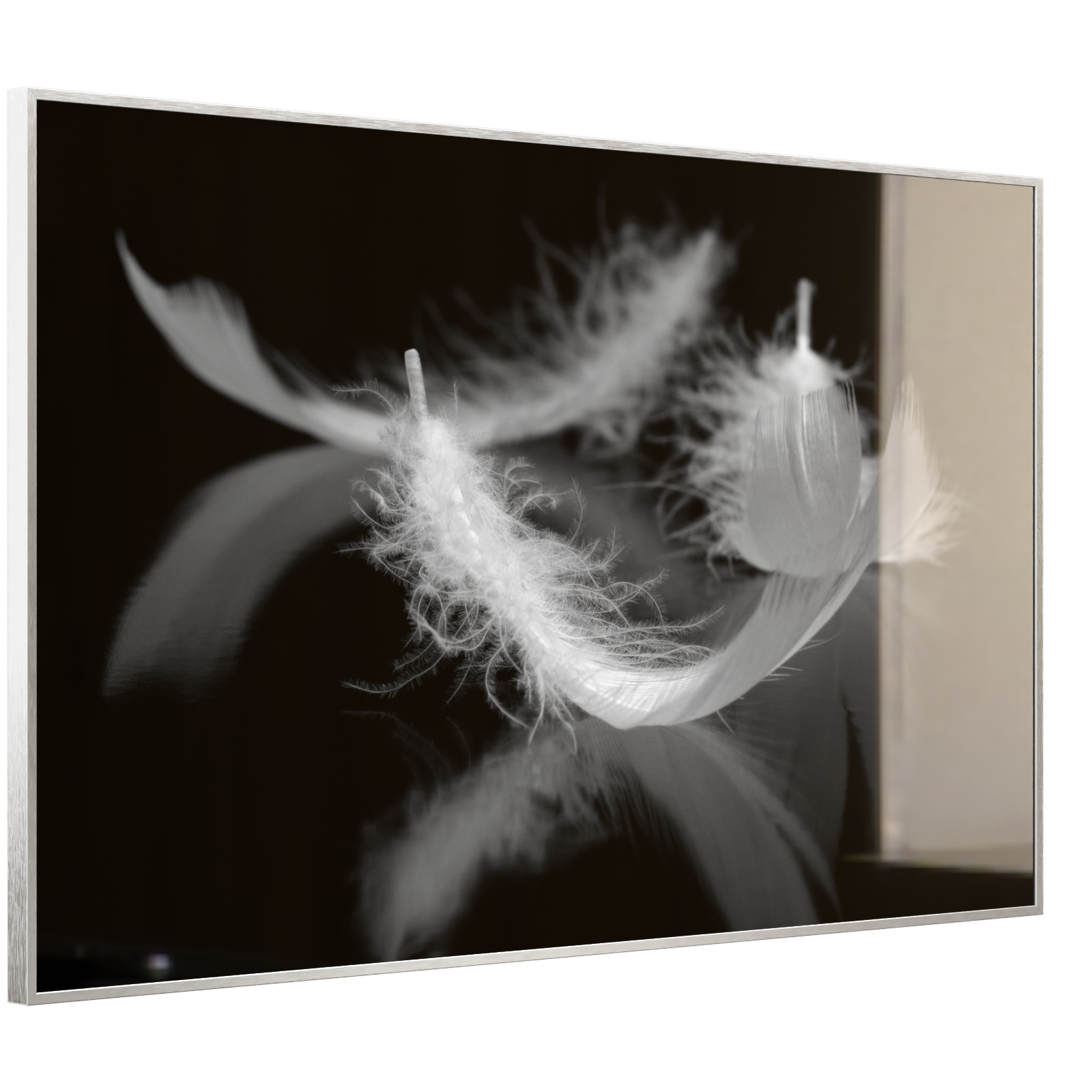 Deko Glas Wandbild Motiv 018 Federn Schwarz Weiß