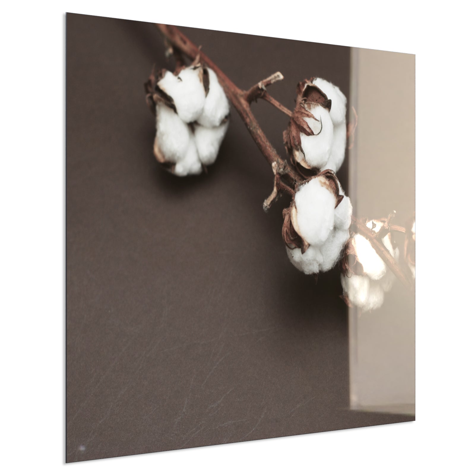 Deko Glas Wandbild Motiv 020 Baumwollpflanze