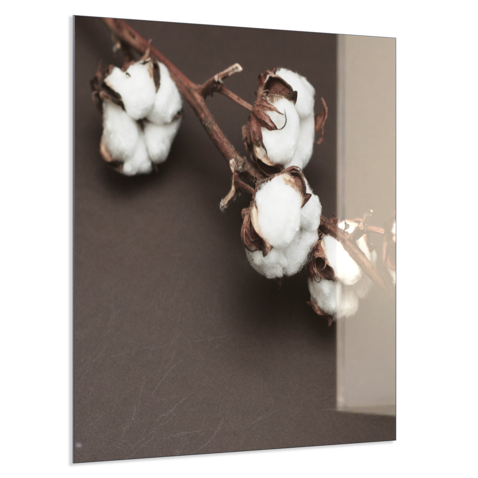 Deko Glas Wandbild Motiv 020 Baumwollpflanze