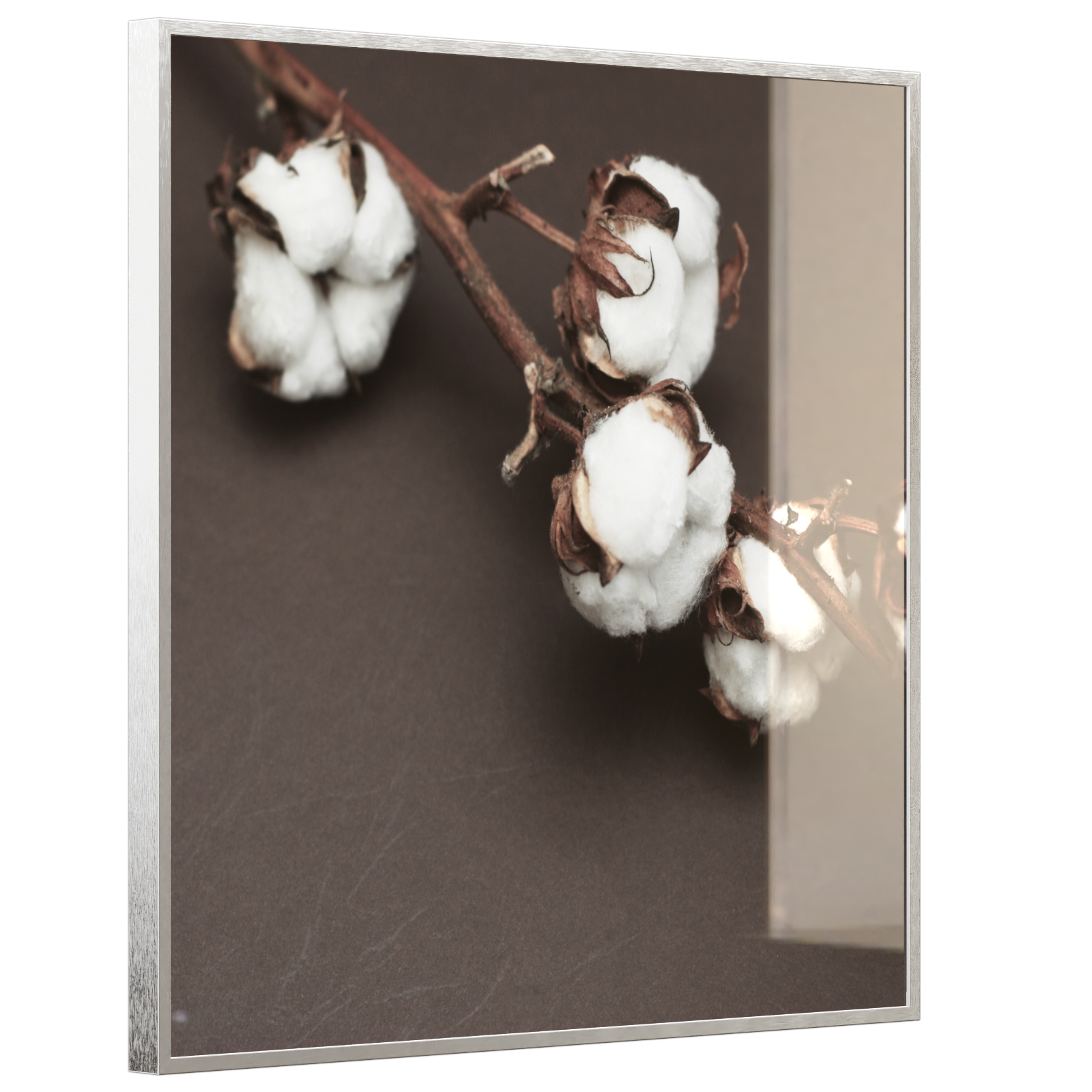 Deko Glas Wandbild Motiv 020 Baumwollpflanze