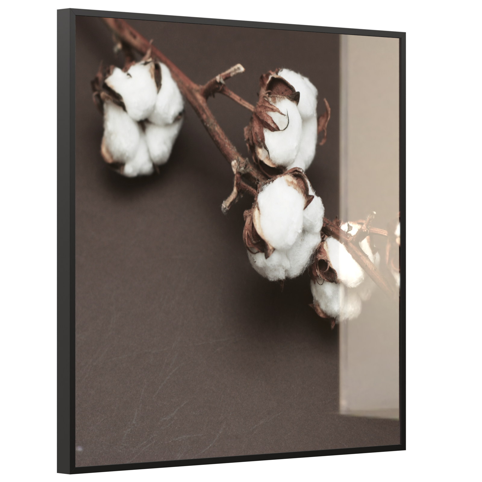 Deko Glas Wandbild Motiv 020 Baumwollpflanze