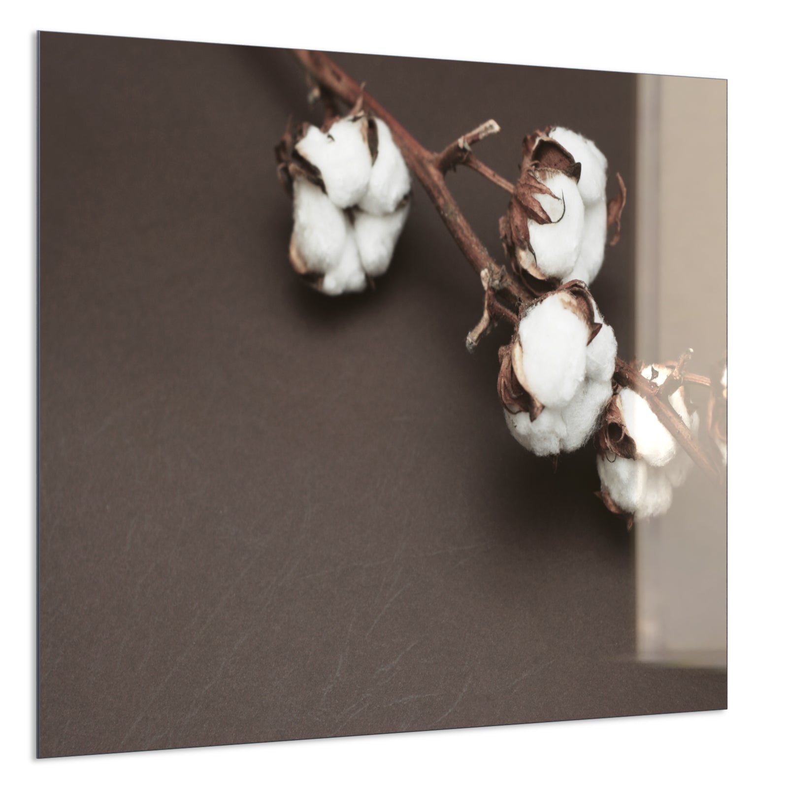 Deko Glas Wandbild Motiv 020 Baumwollpflanze