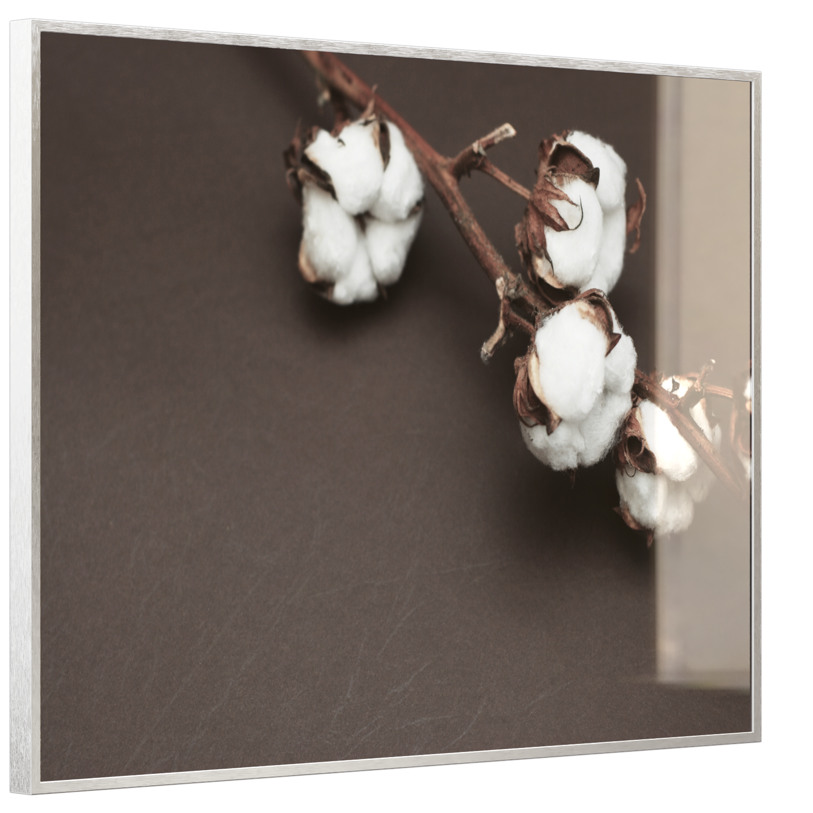 Deko Glas Wandbild Motiv 020 Baumwollpflanze