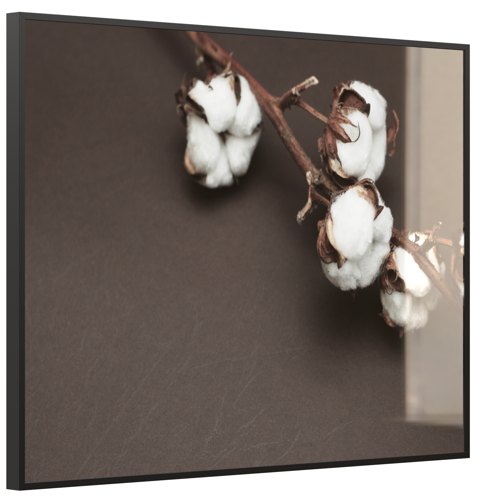 Deko Glas Wandbild Motiv 020 Baumwollpflanze