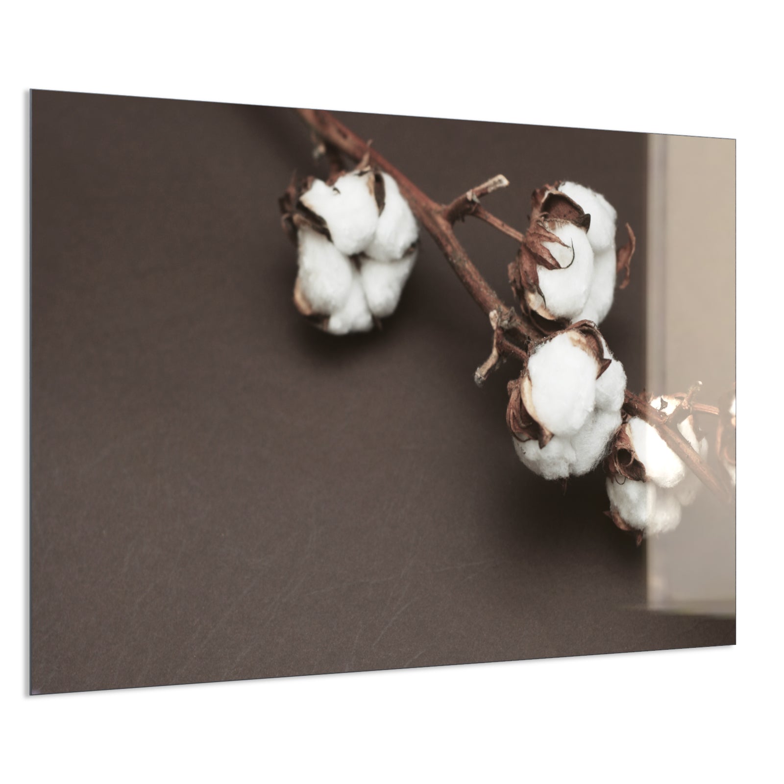 Deko Glas Wandbild Motiv 020 Baumwollpflanze