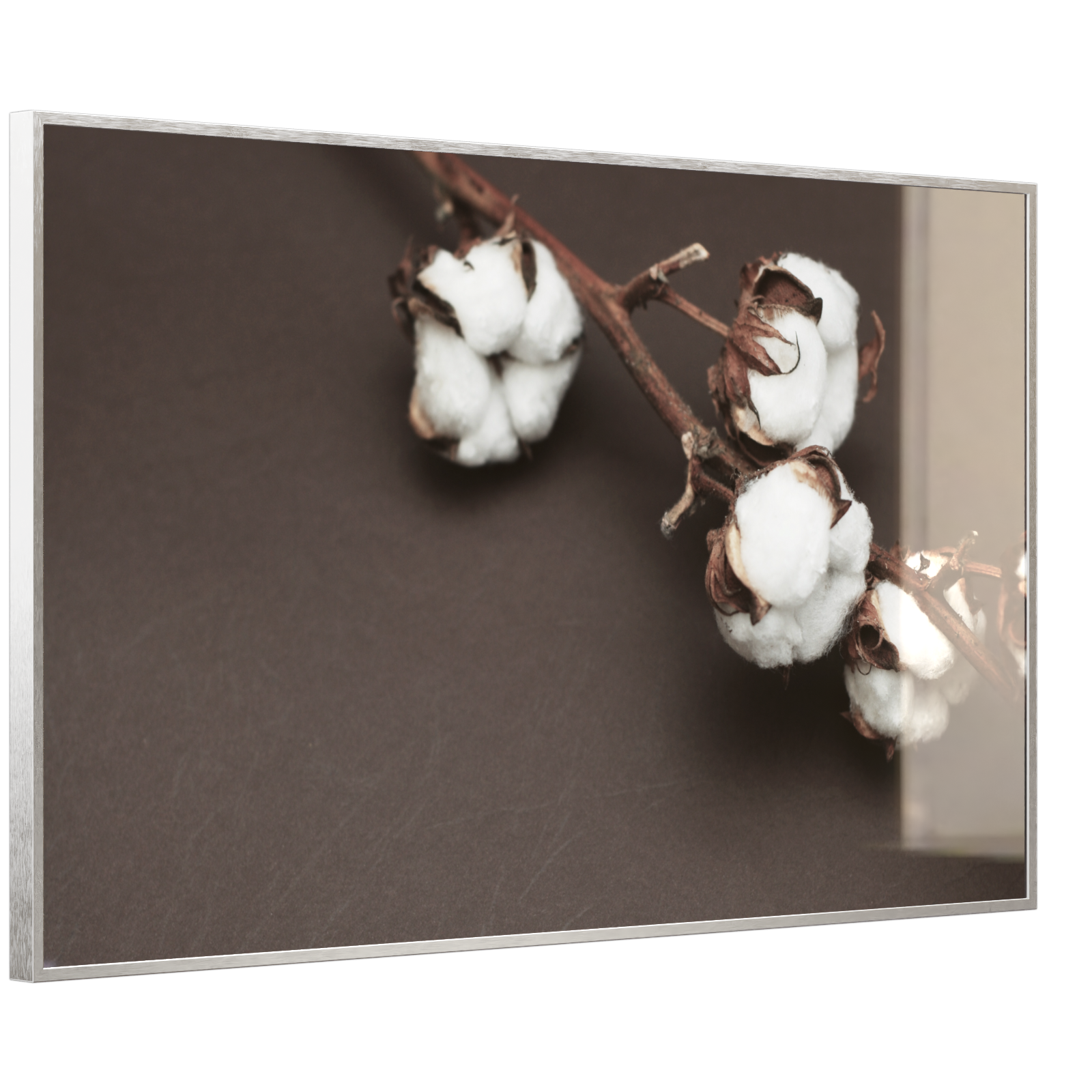 Deko Glas Wandbild Motiv 020 Baumwollpflanze