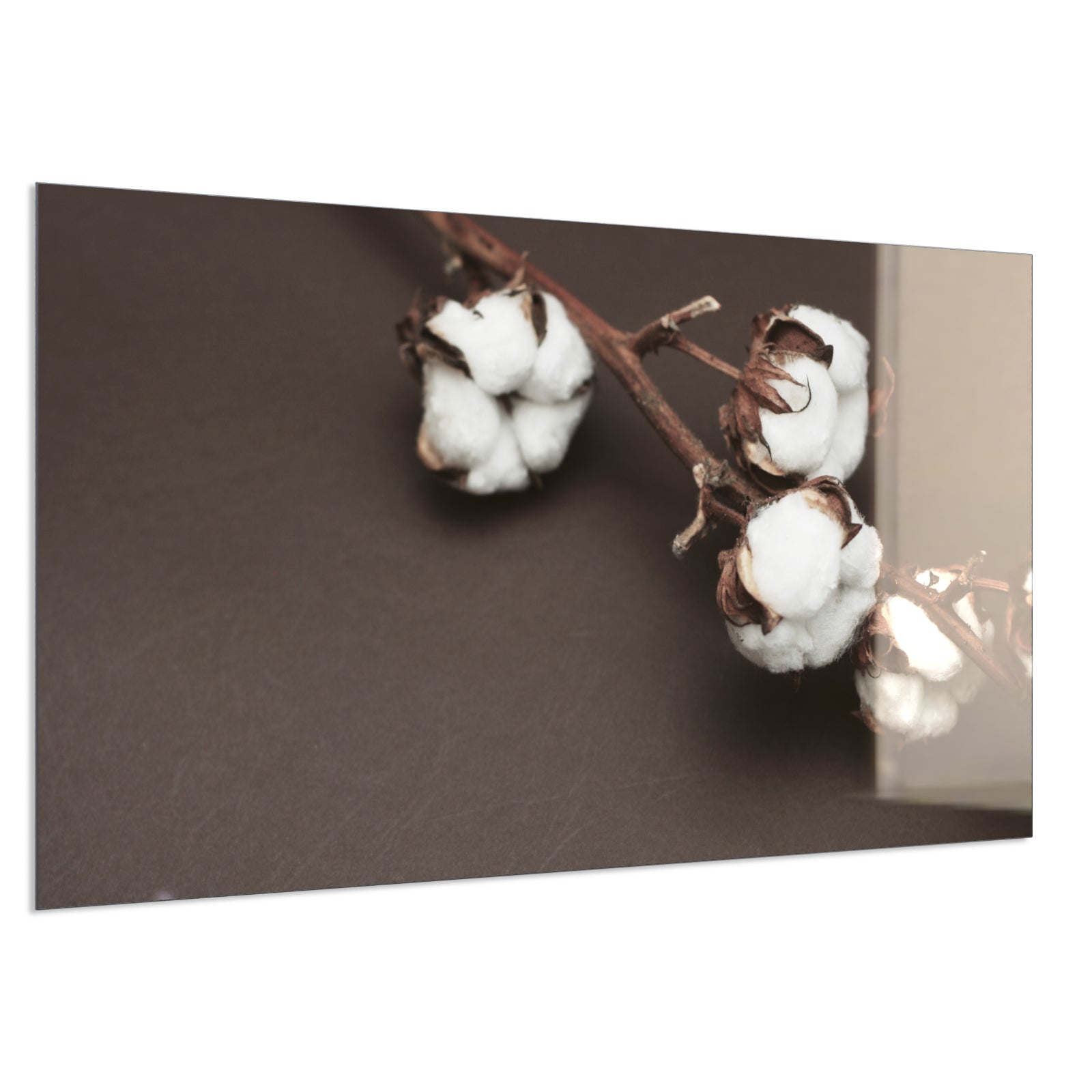 Deko Glas Wandbild Motiv 020 Baumwollpflanze