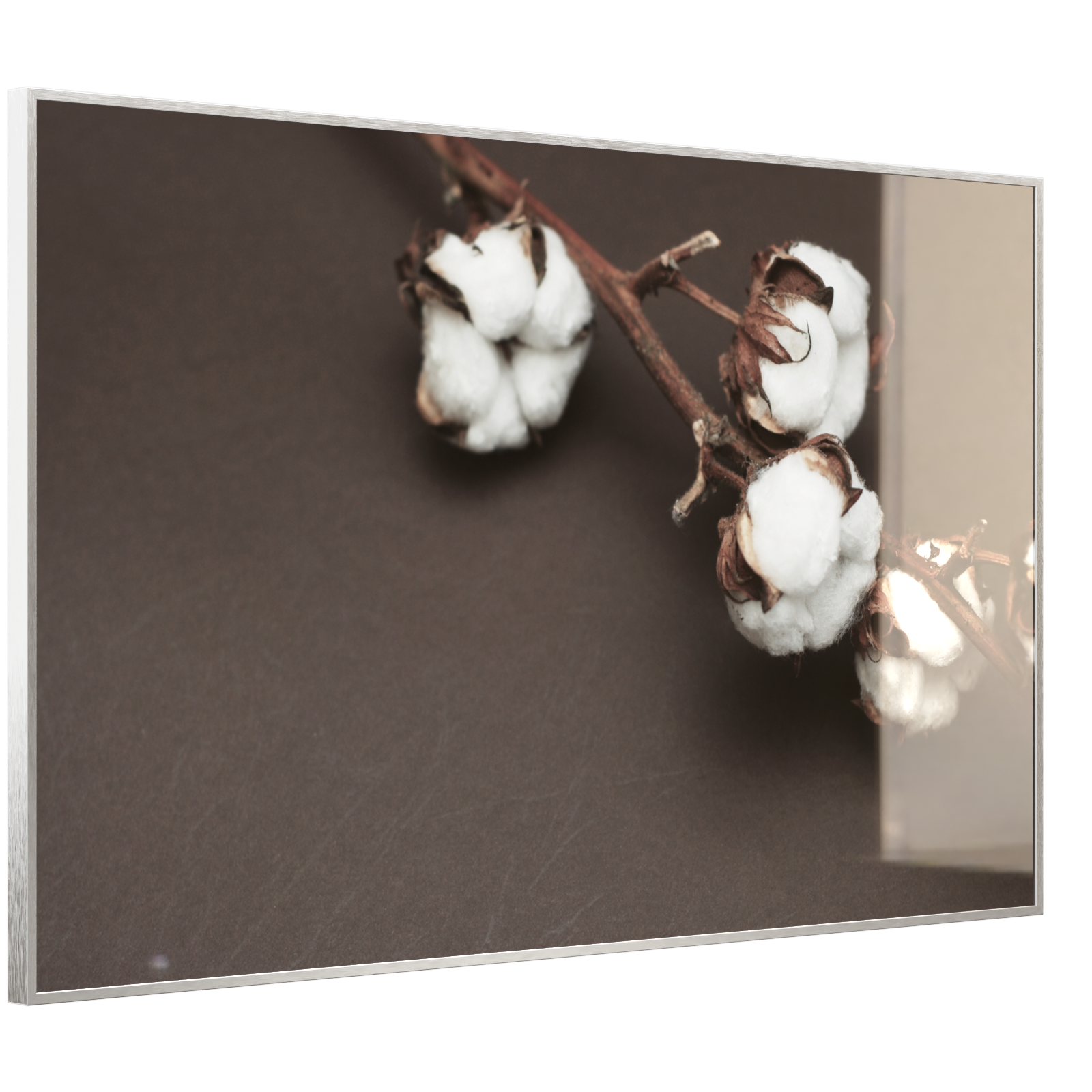 Deko Glas Wandbild Motiv 020 Baumwollpflanze