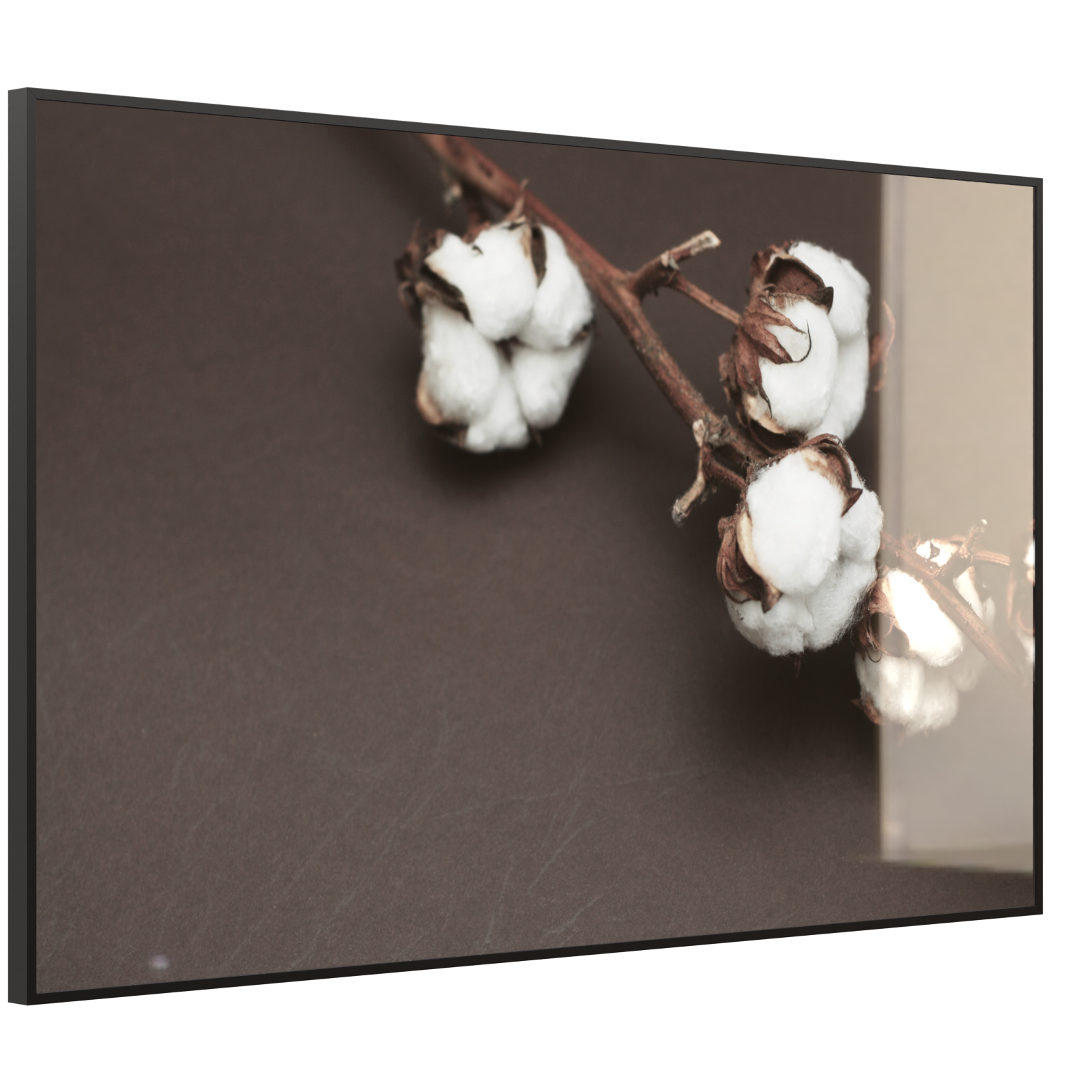 Deko Glas Wandbild Motiv 020 Baumwollpflanze