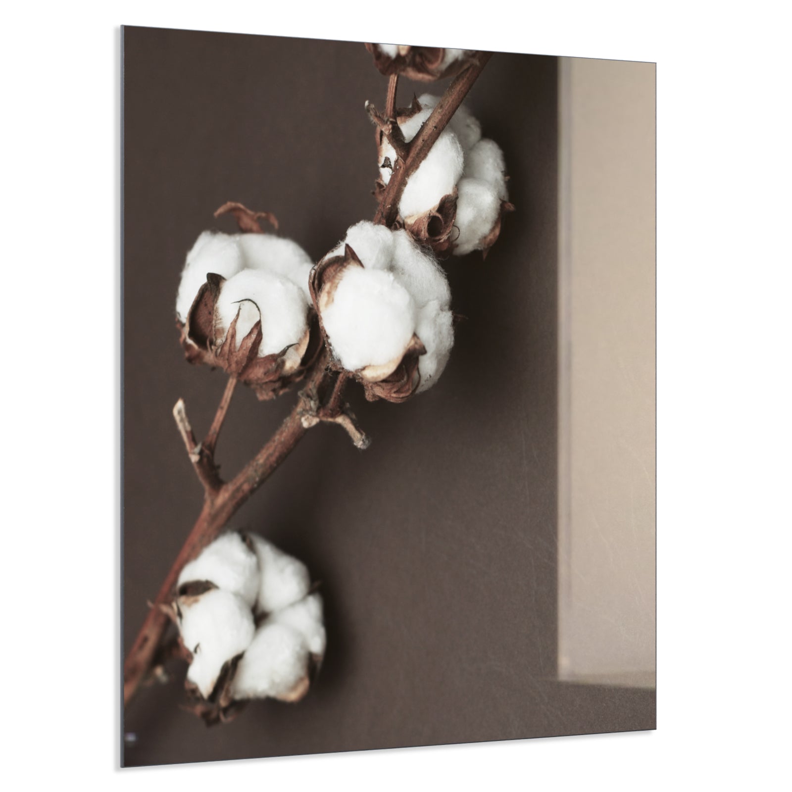 Deko Glas Wandbild Motiv 020H Baumwollpflanze