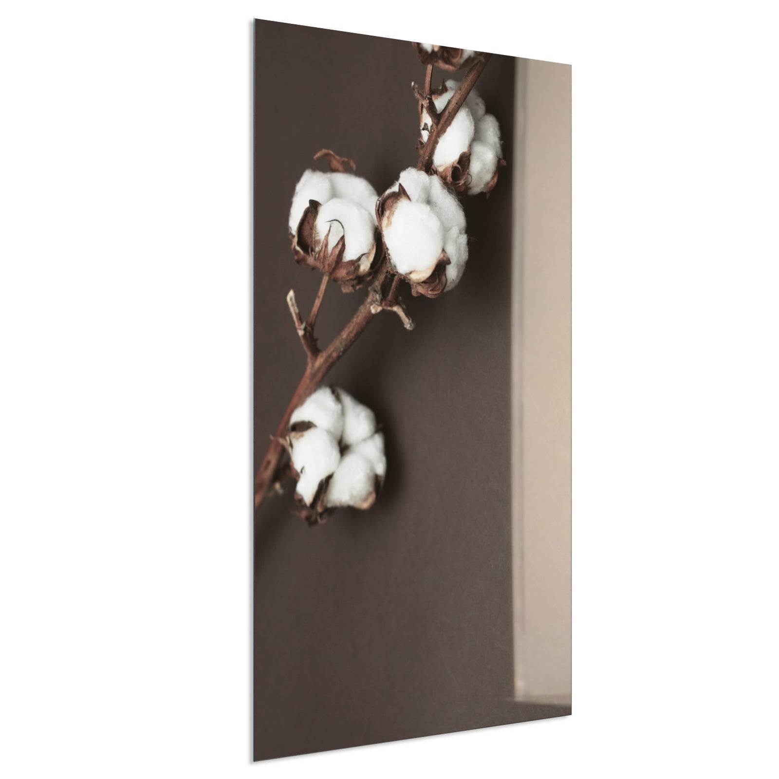 Deko Glas Wandbild Motiv 020H Baumwollpflanze