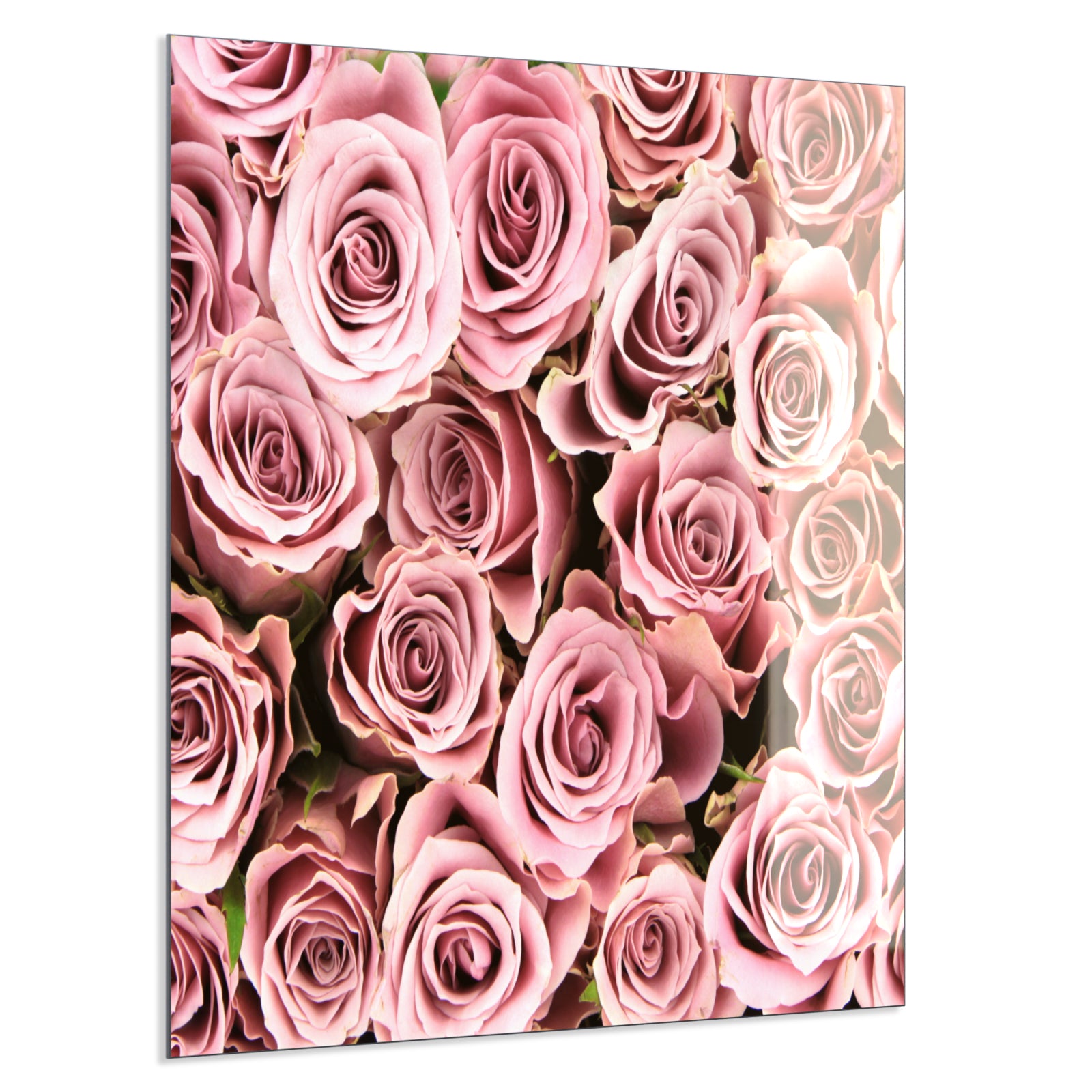 Deko Glas Wandbild Motiv 021 Rosenstrauß
