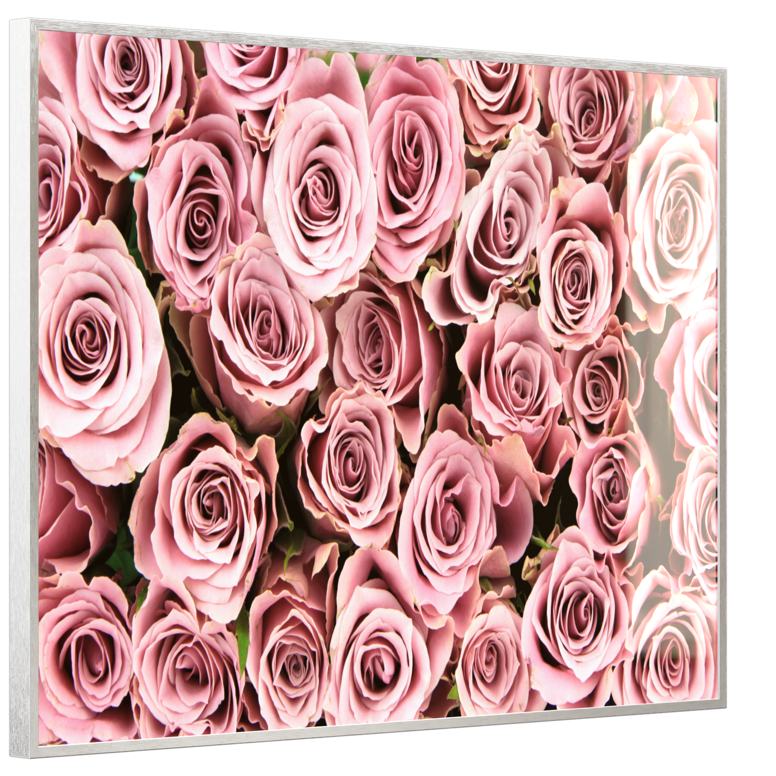 Deko Glas Wandbild Motiv 021 Rosenstrauß