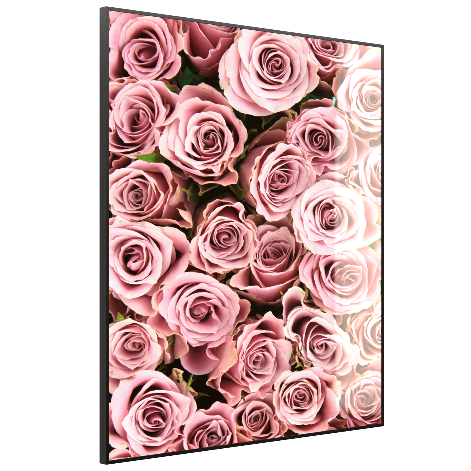 Deko Glas Wandbild Motiv 021H Rosenstrauß