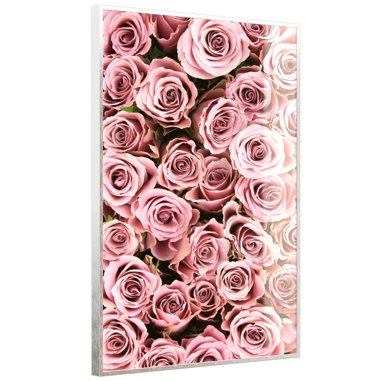 Deko Glas Wandbild Motiv 021H Rosenstrauß