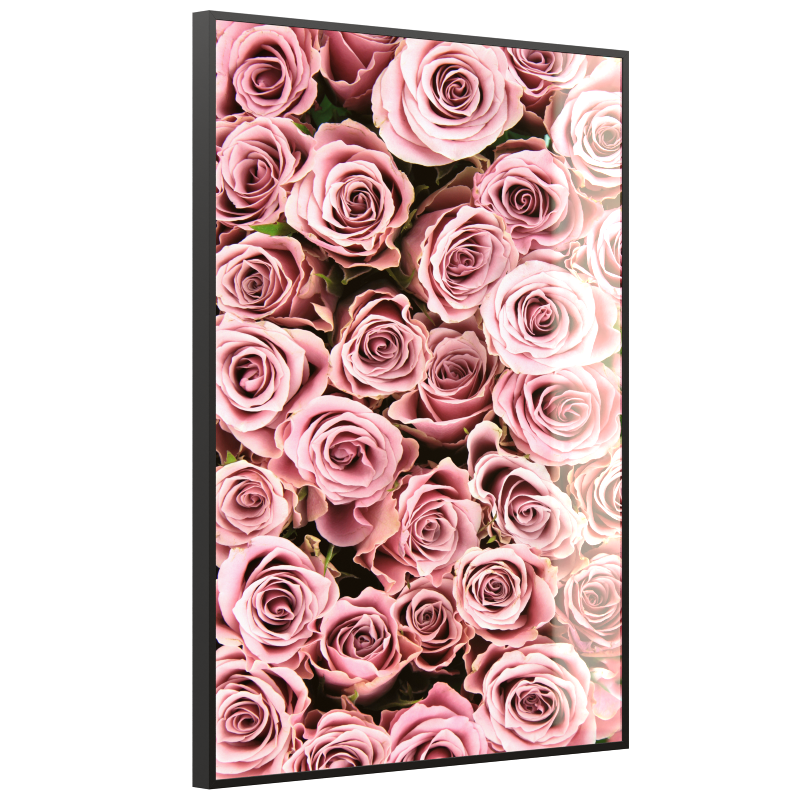 Deko Glas Wandbild Motiv 021H Rosenstrauß