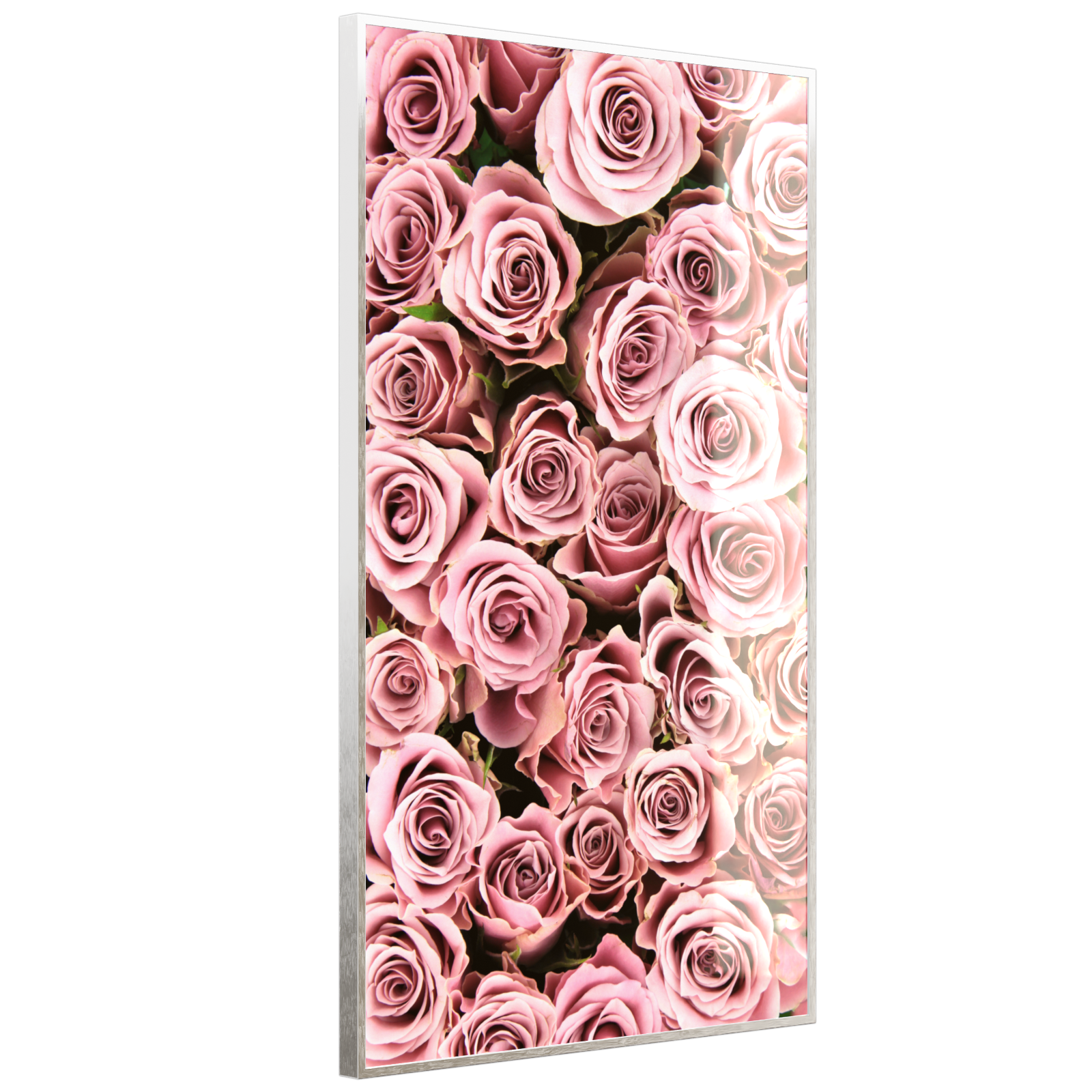 Deko Glas Wandbild Motiv 021H Rosenstrauß