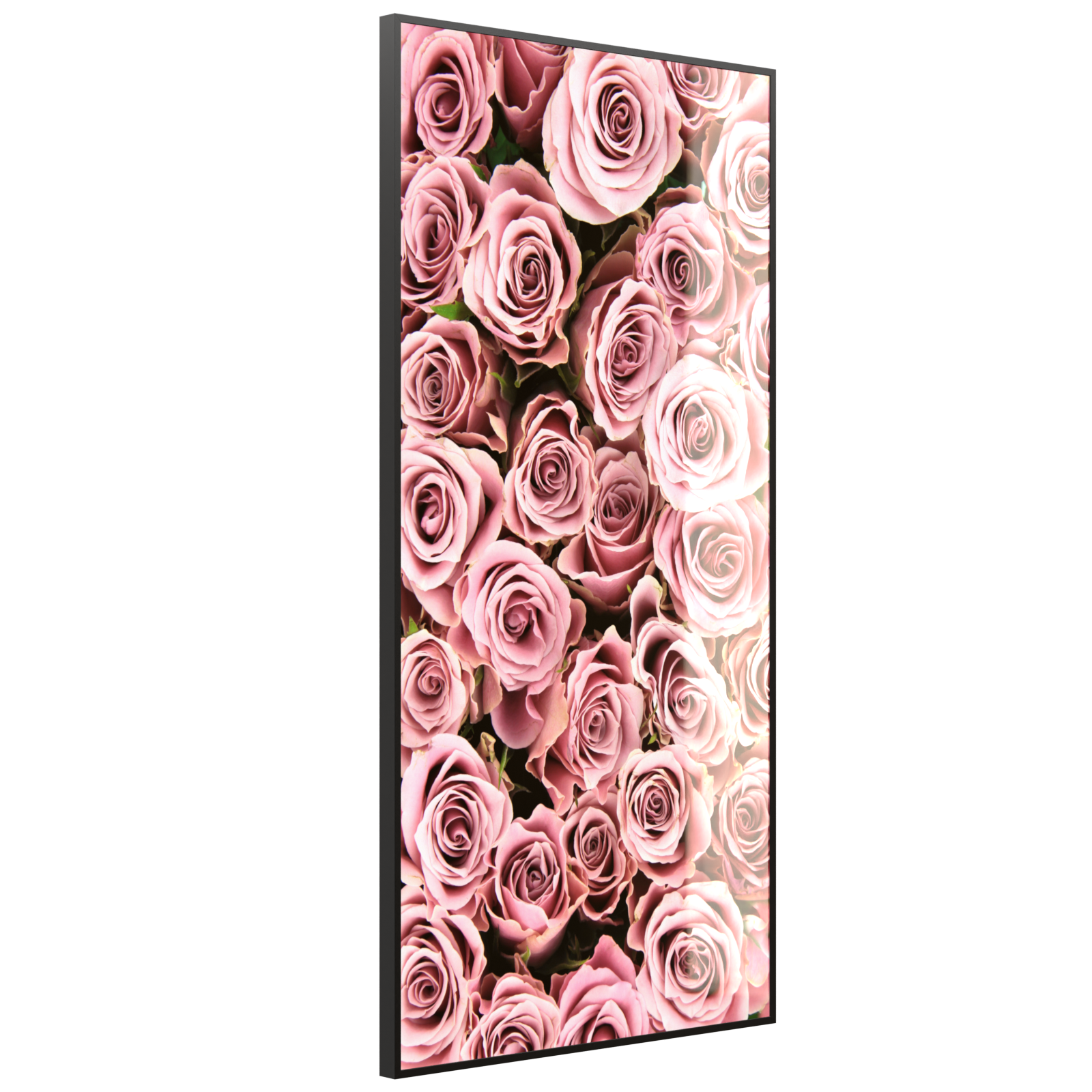 Deko Glas Wandbild Motiv 021H Rosenstrauß