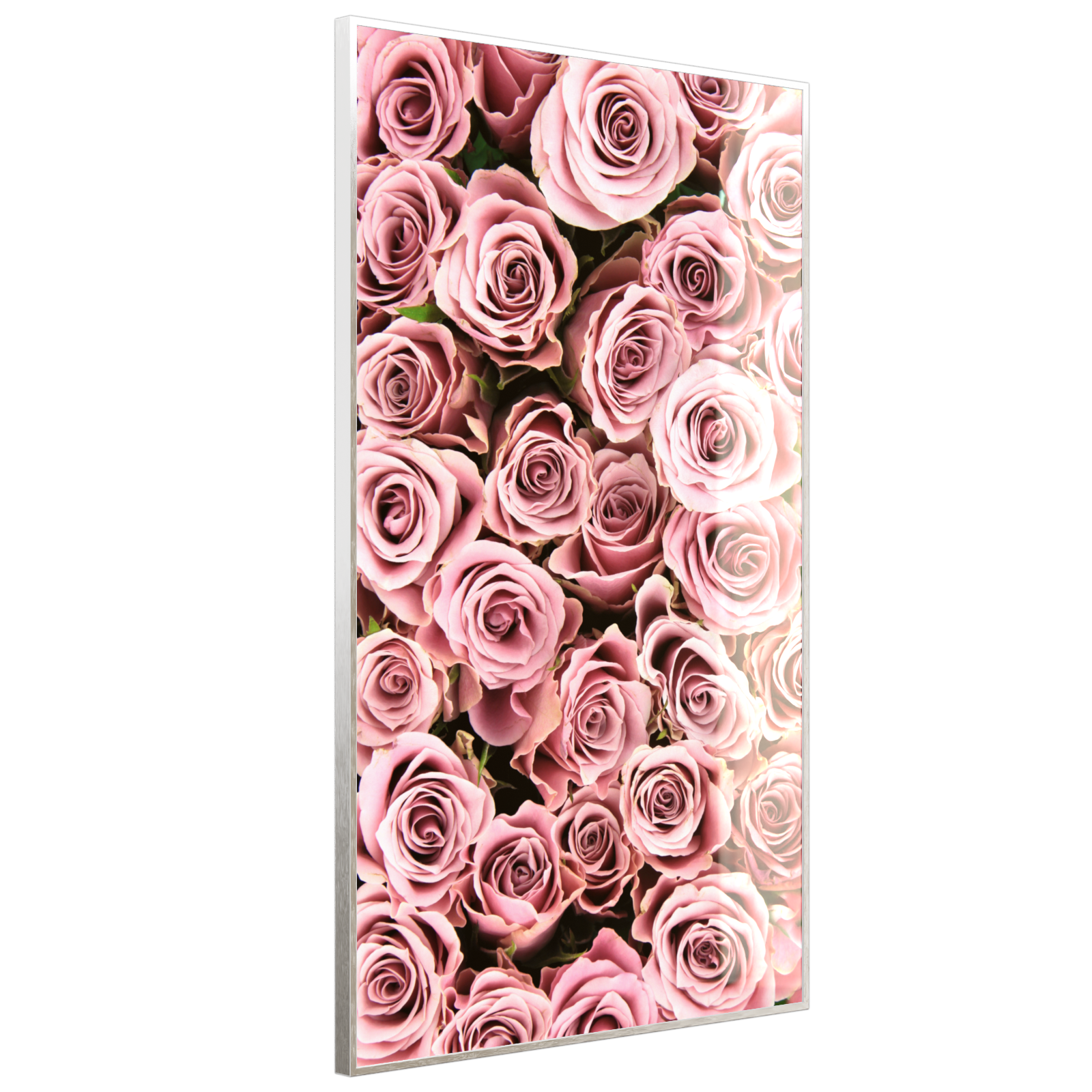 Deko Glas Wandbild Motiv 021H Rosenstrauß