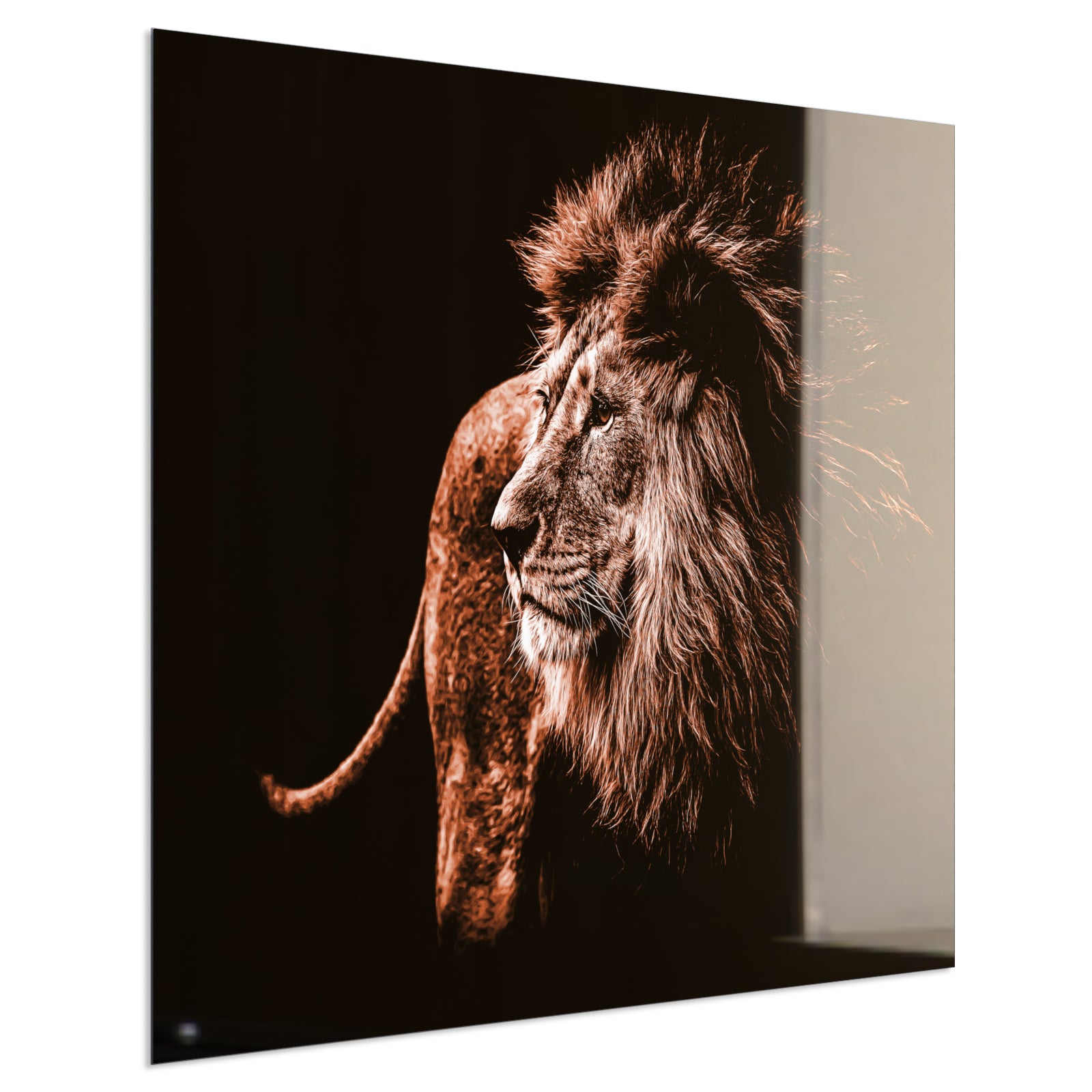 Deko Glas Wandbild Motiv 022 Löwe