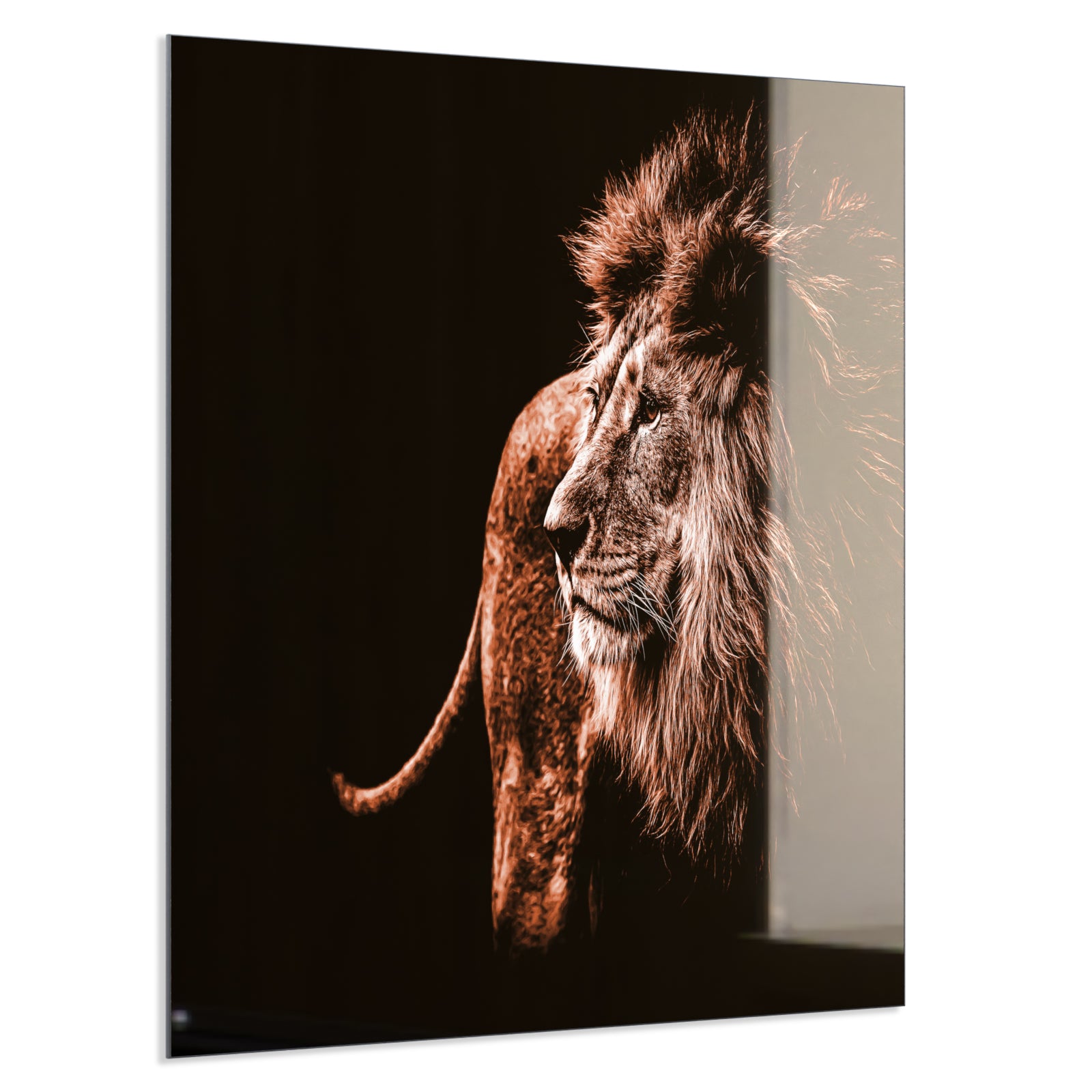 Deko Glas Wandbild Motiv 022 Löwe