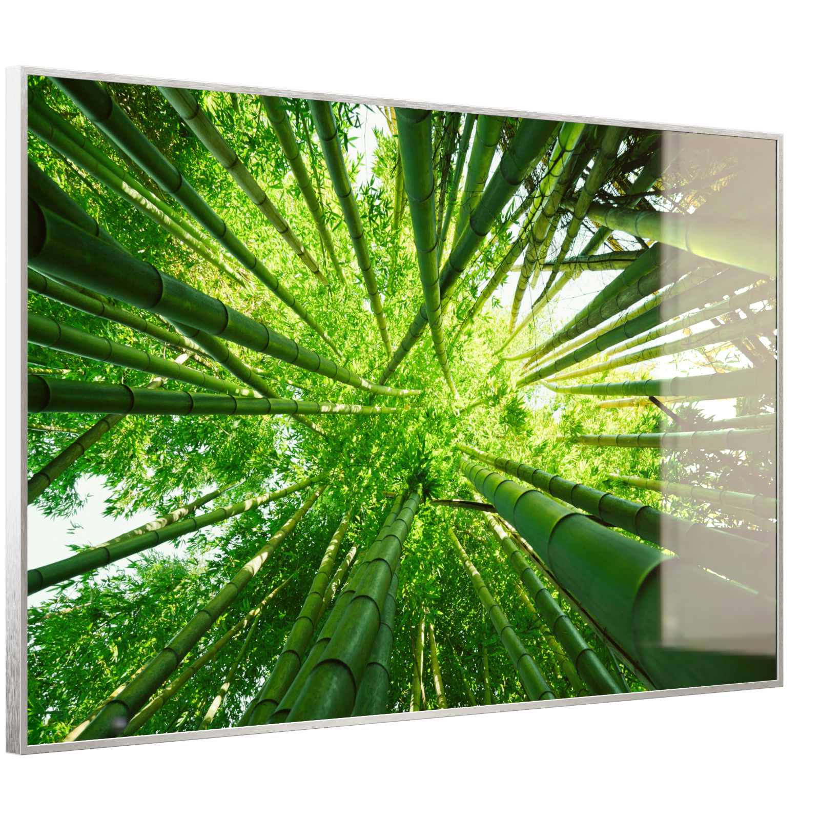 Deko Glas Wandbild Motiv 023 Bambusbaum