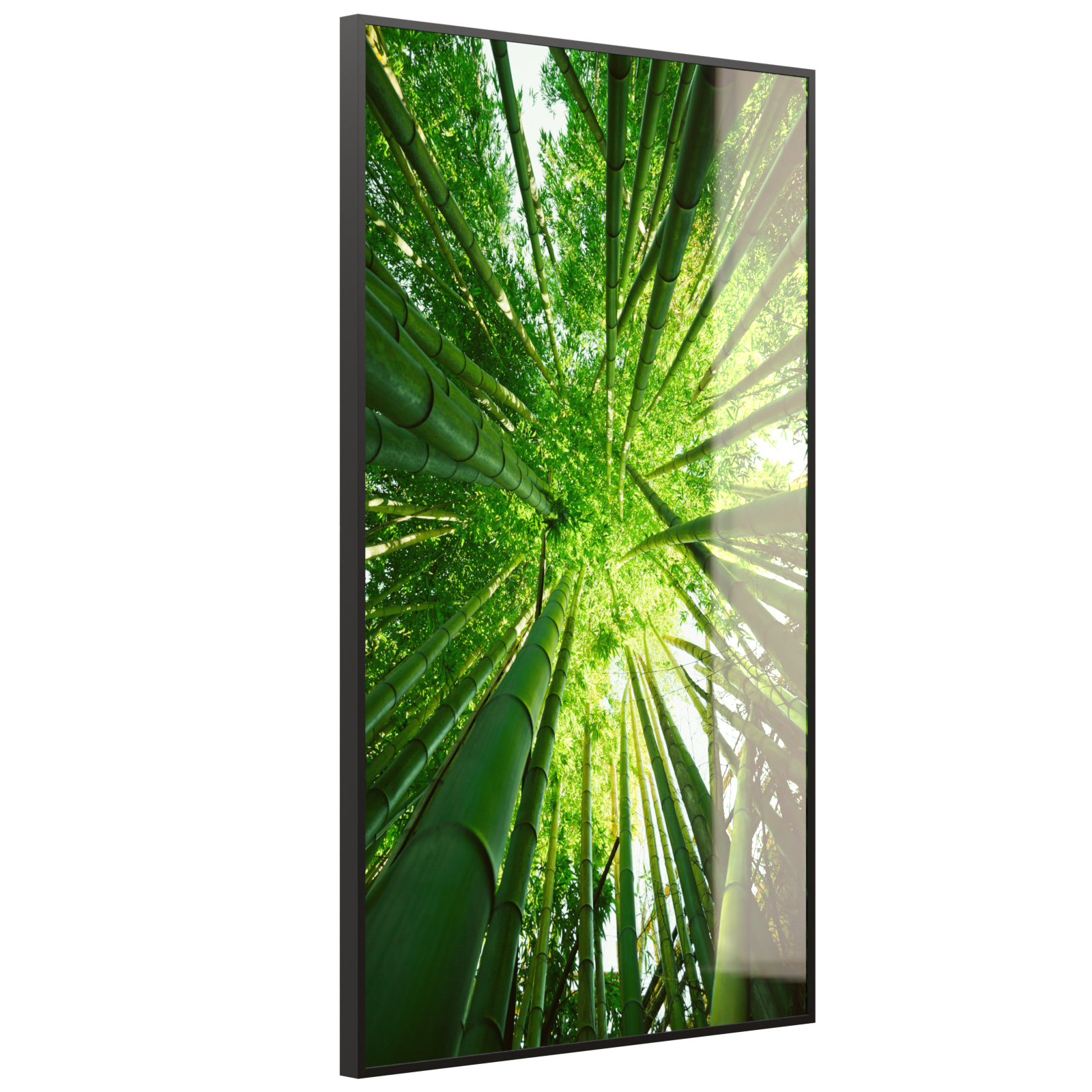 Deko Glas Wandbild Motiv 023H Bambusbaum