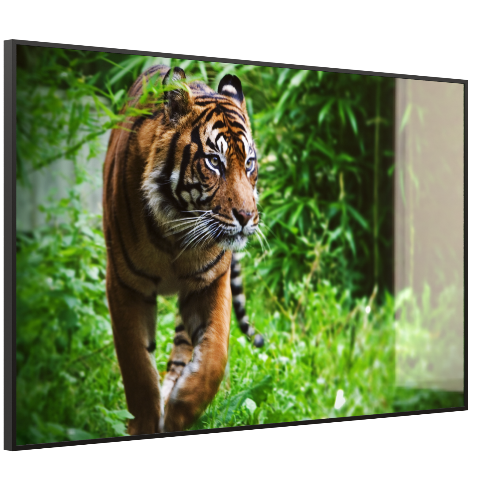Deko Glas Wandbild Motiv 024 Tiger