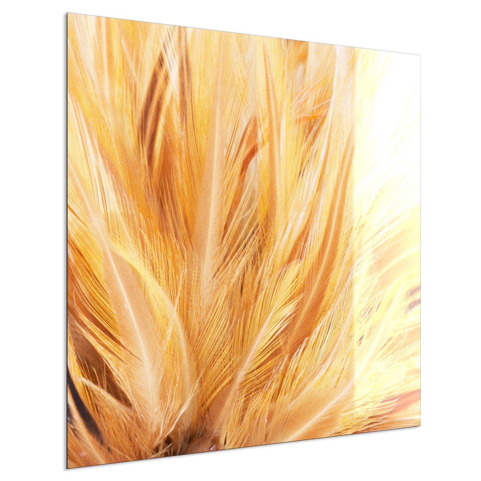 Deko Glas Wandbild Motiv 028 Federn