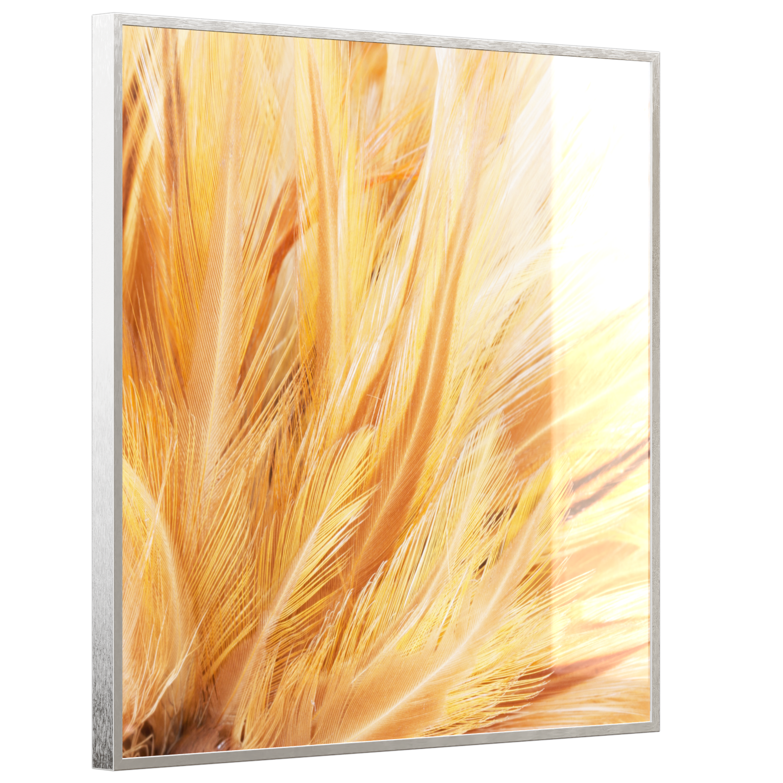 Deko Glas Wandbild Motiv 028H Federn