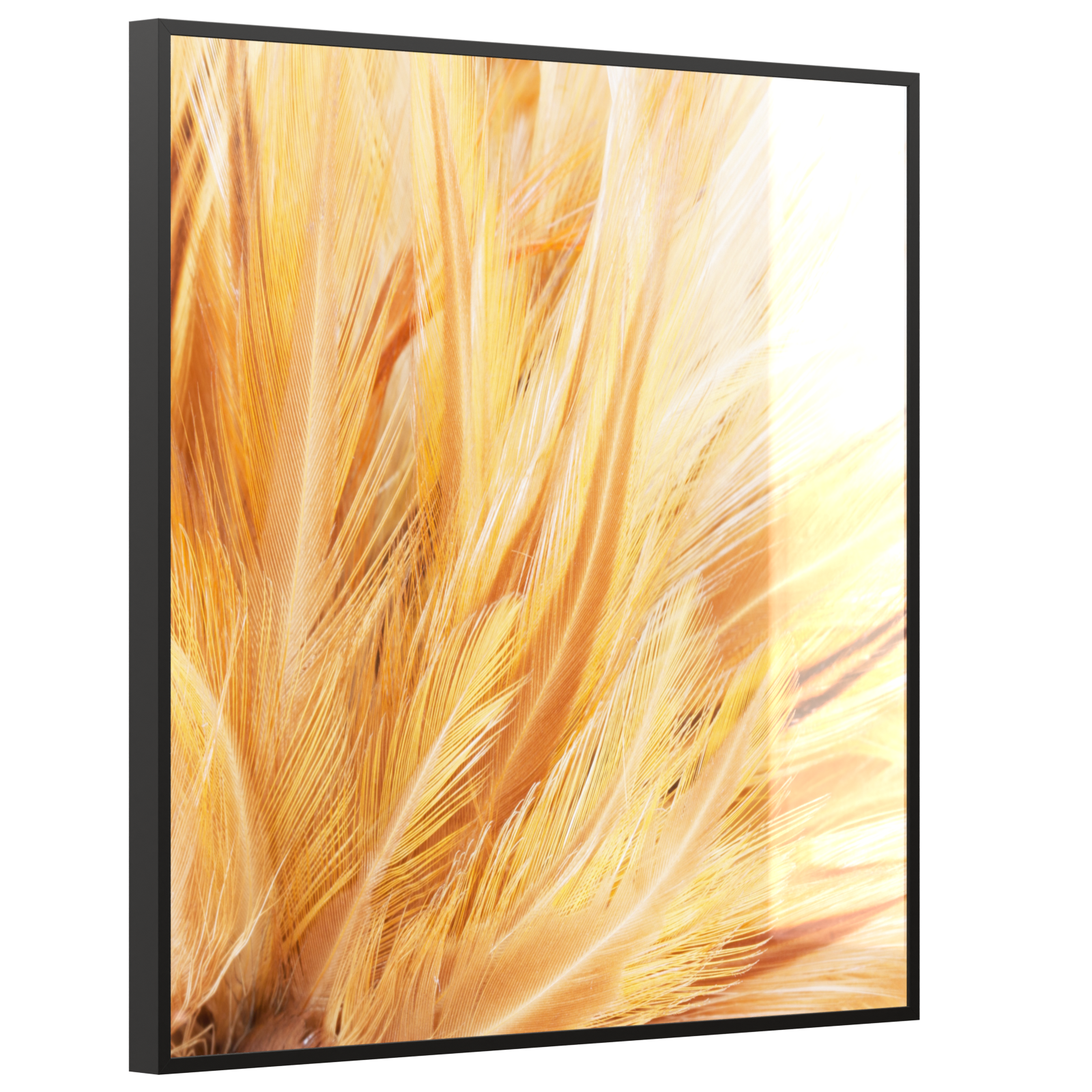 Deko Glas Wandbild Motiv 028H Federn