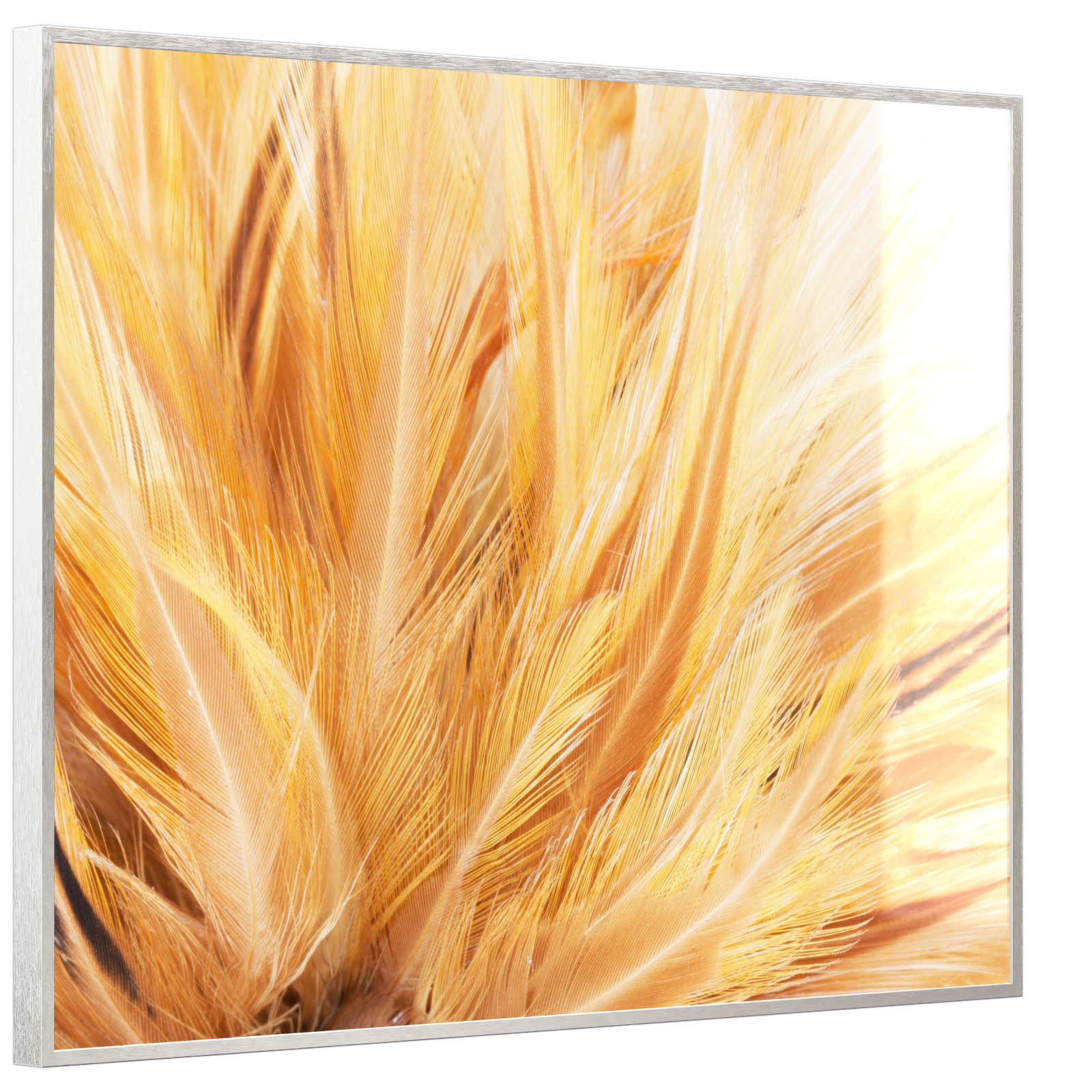 Deko Glas Wandbild Motiv 028 Federn