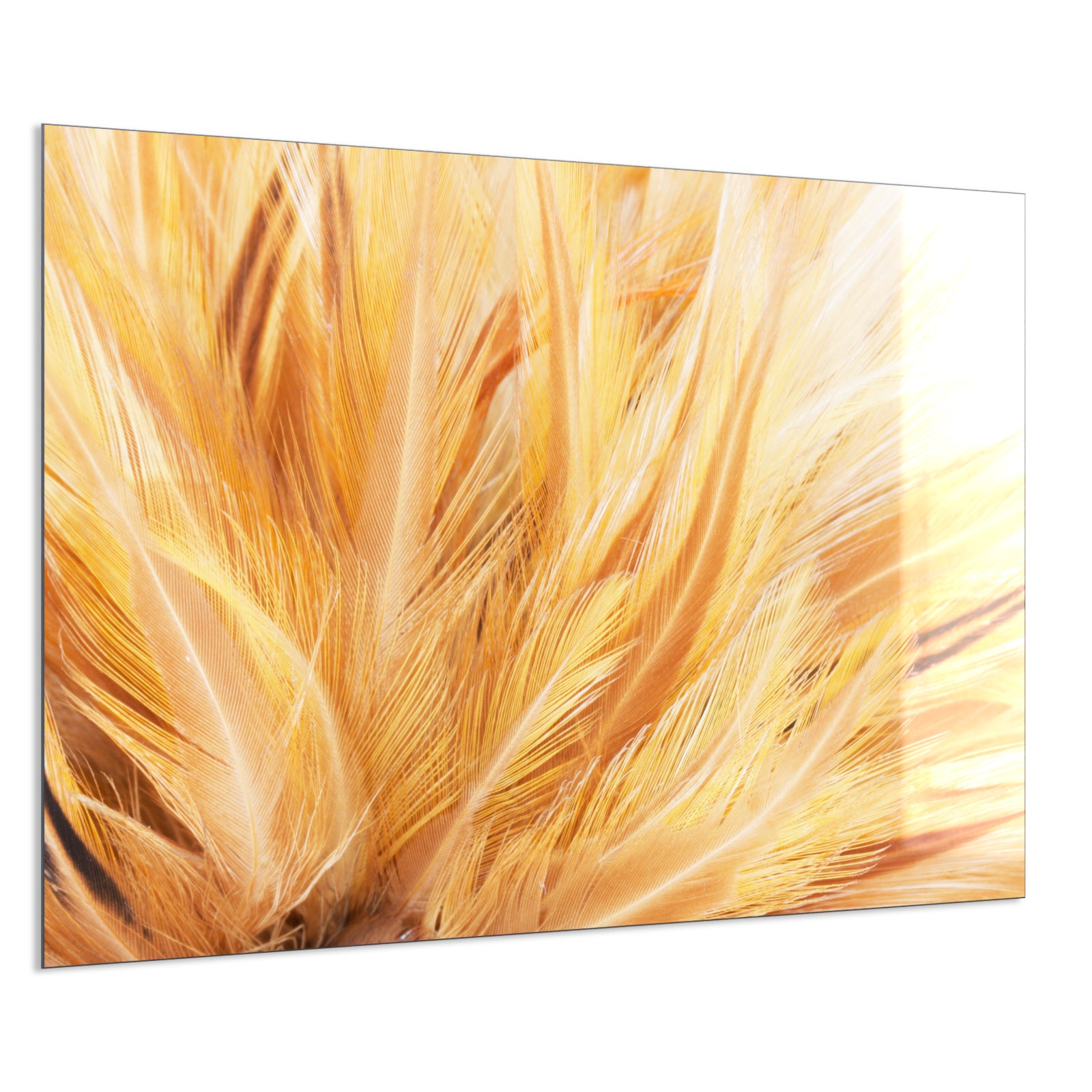 Deko Glas Wandbild Motiv 028 Federn