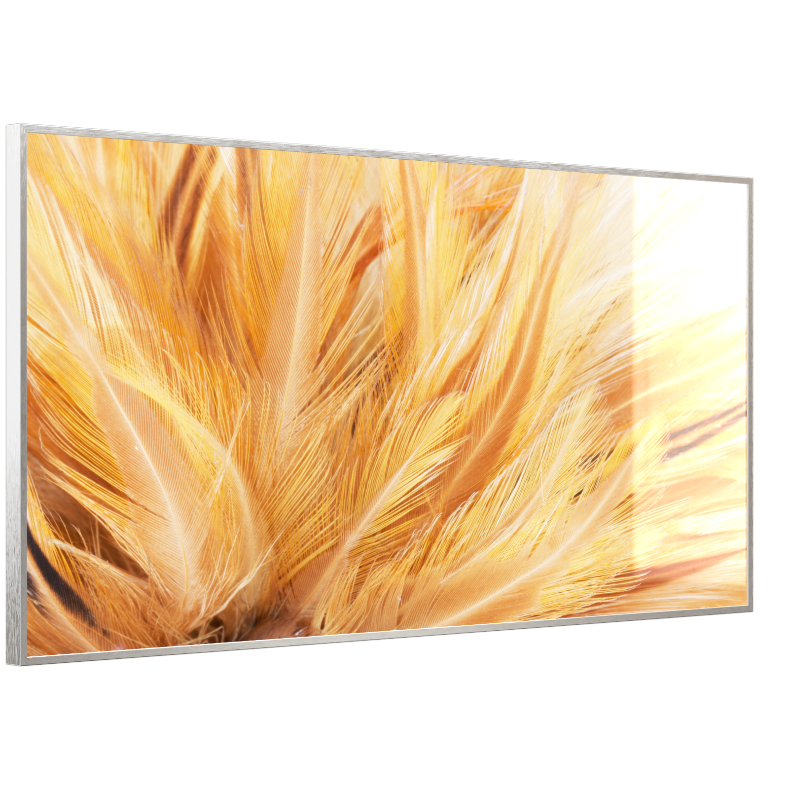 Deko Glas Wandbild Motiv 028 Federn