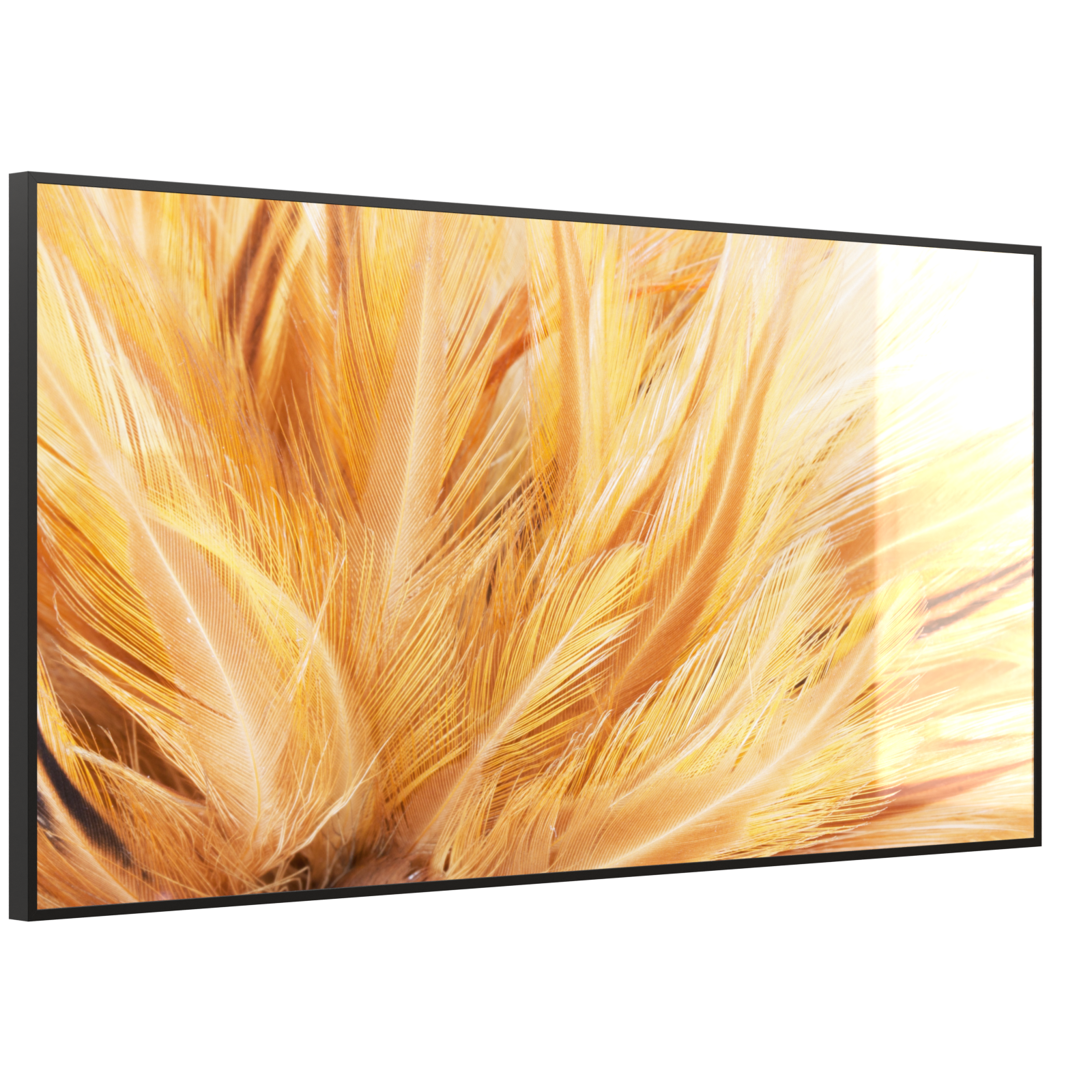 Deko Glas Wandbild Motiv 028 Federn