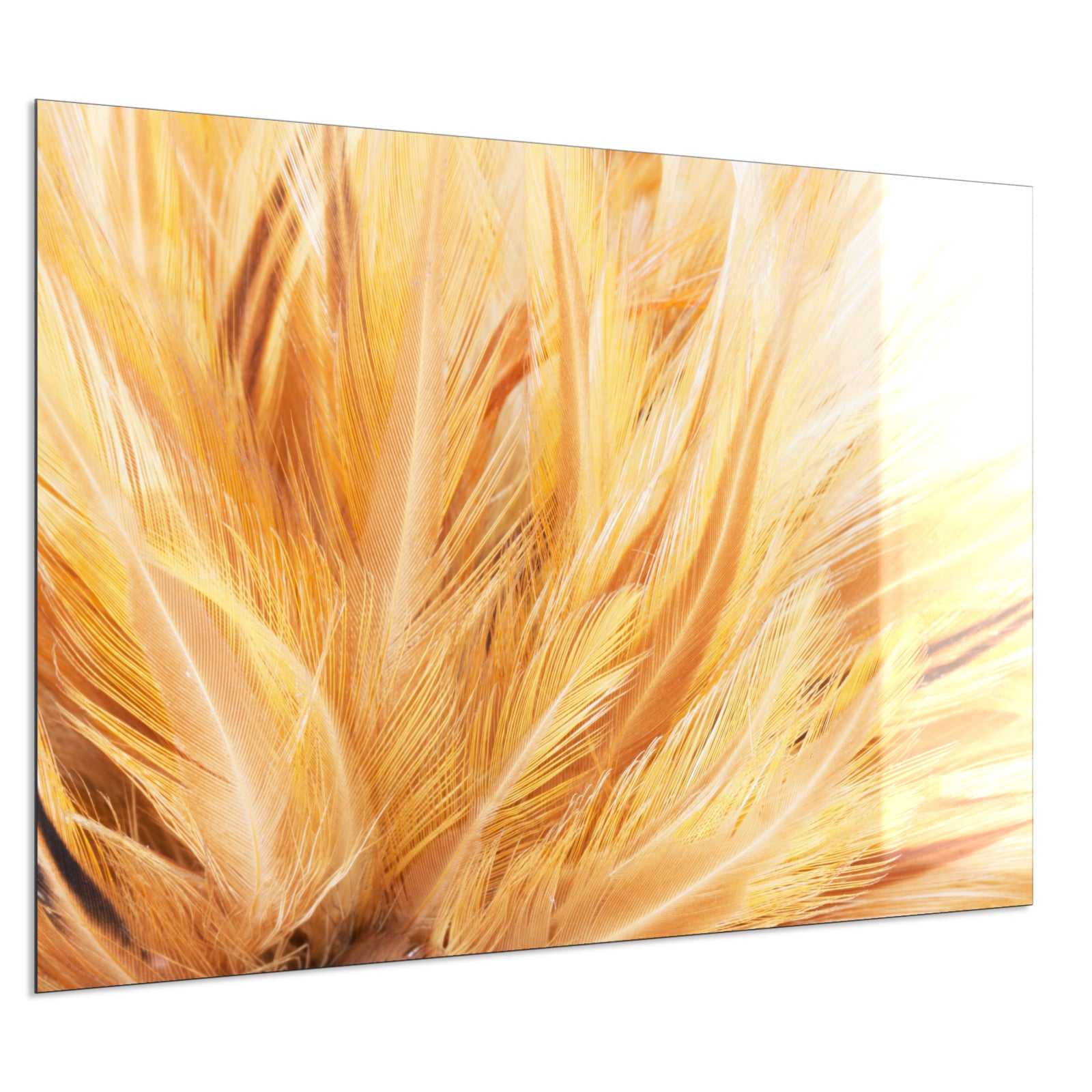 Deko Glas Wandbild Motiv 028 Federn