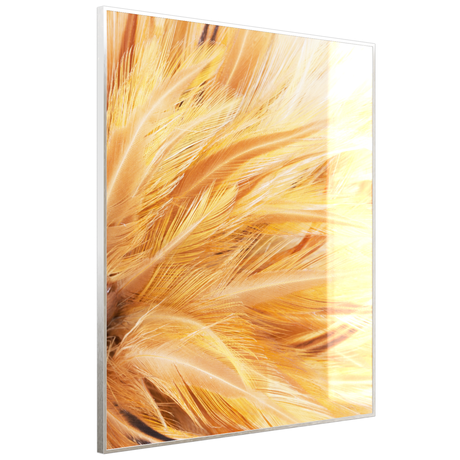 Deko Glas Wandbild Motiv 028H Federn