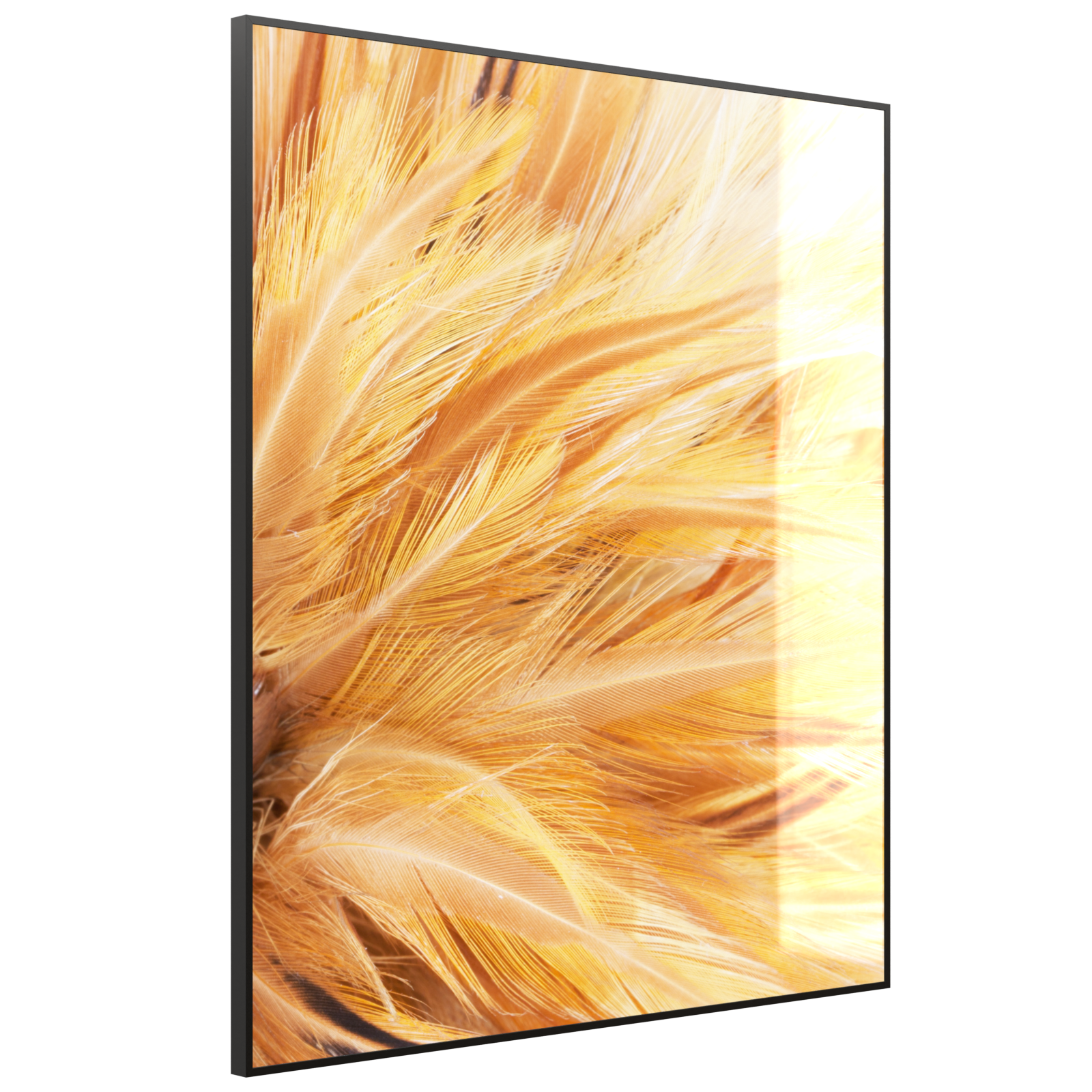 Deko Glas Wandbild Motiv 028H Federn