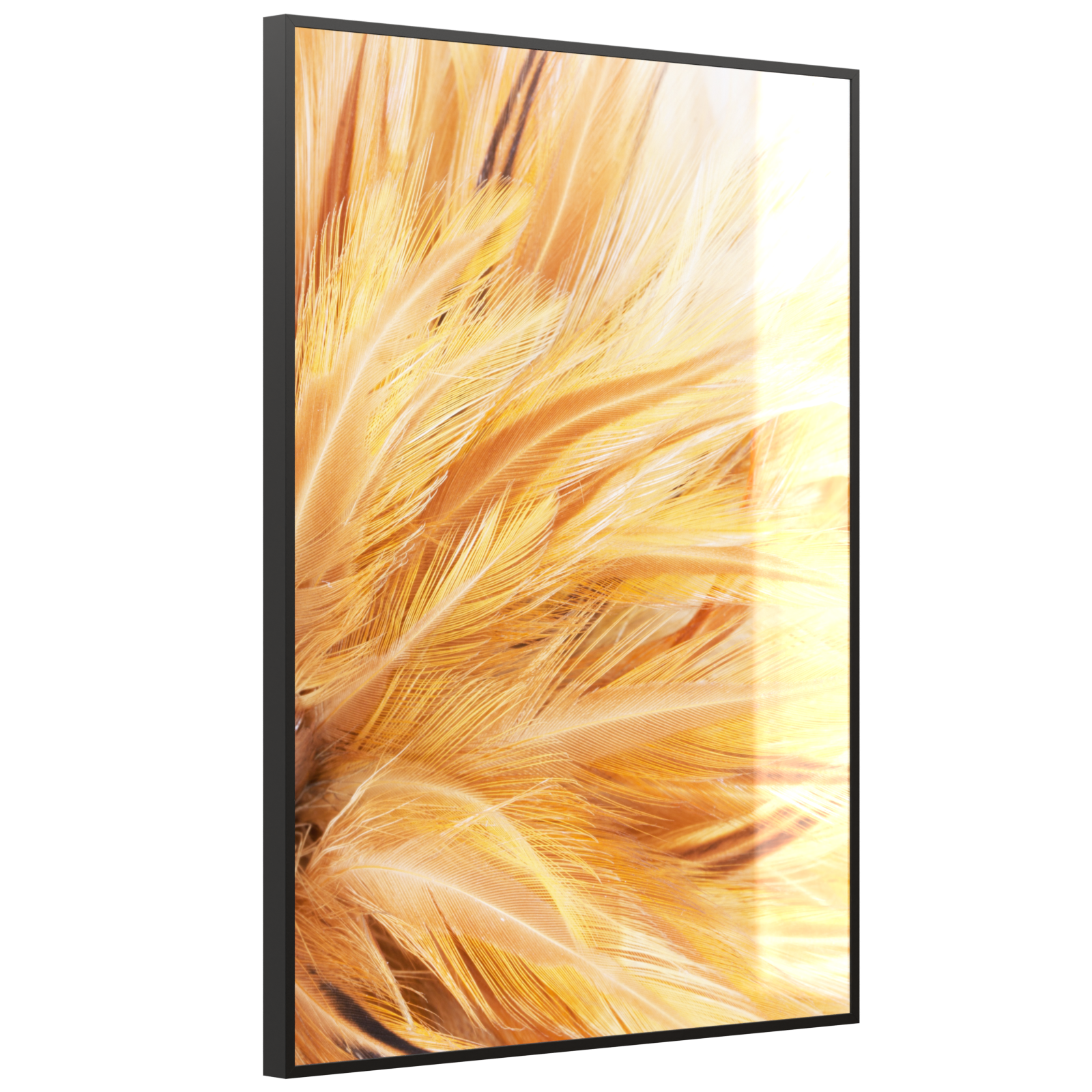 Deko Glas Wandbild Motiv 028H Federn