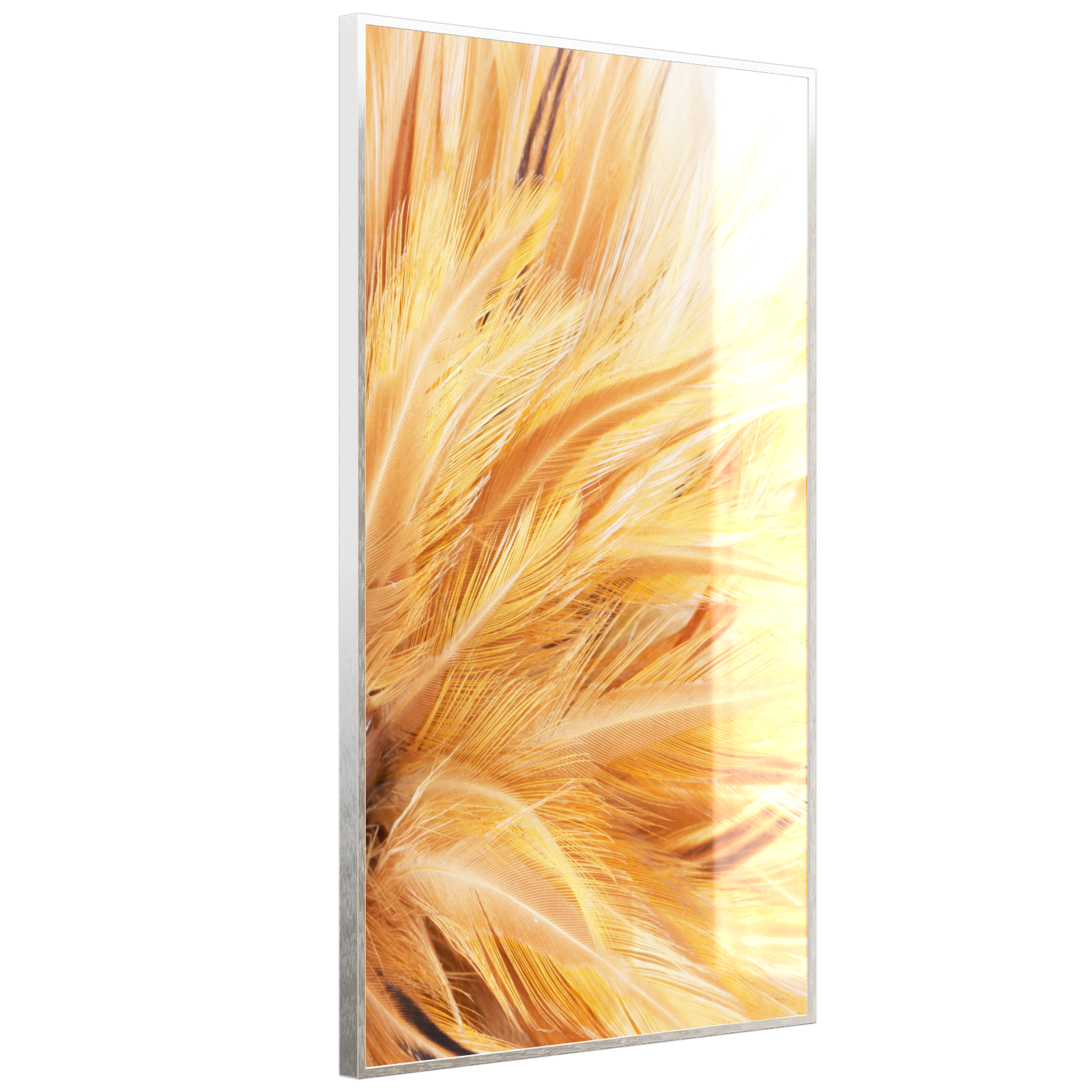 Deko Glas Wandbild Motiv 028H Federn