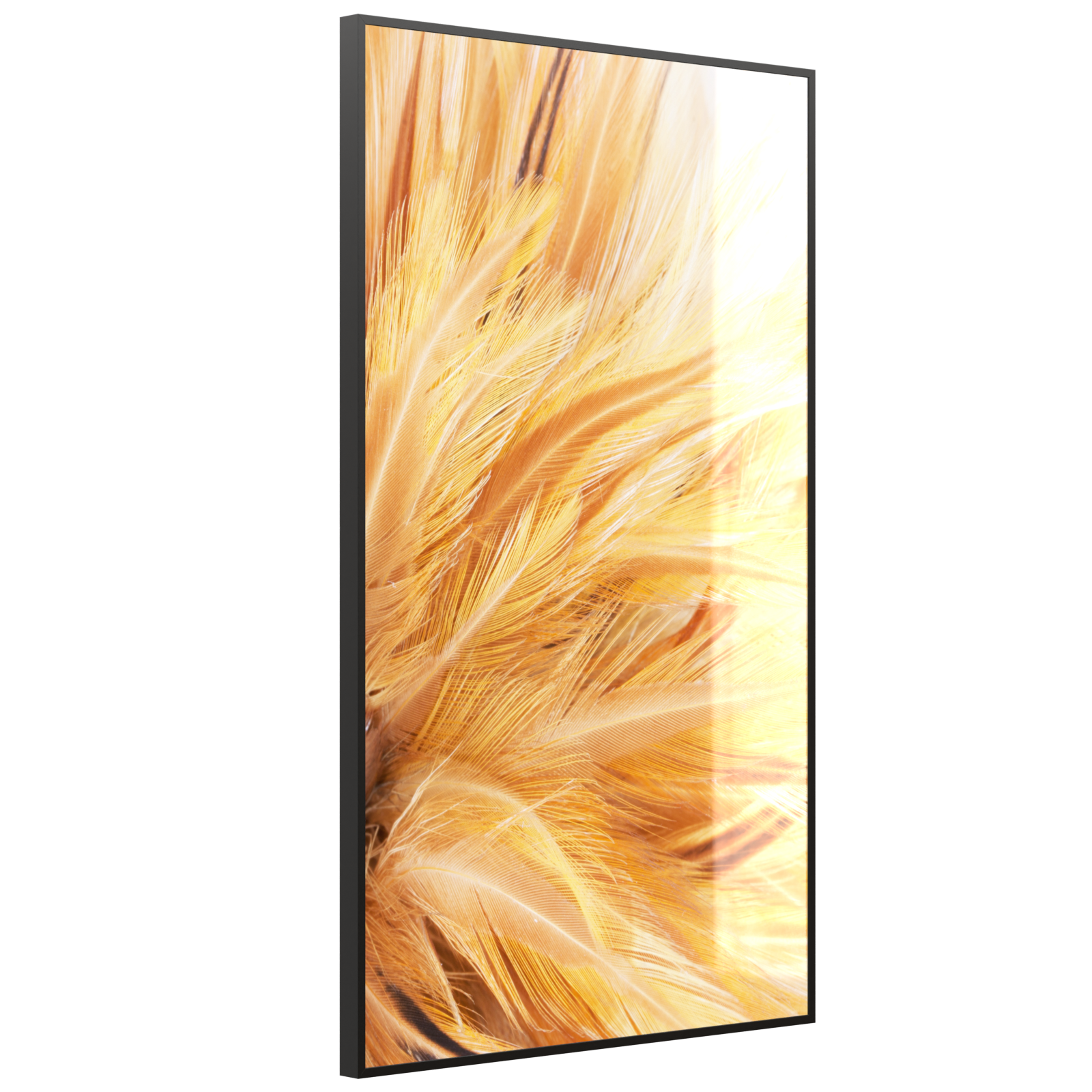 Deko Glas Wandbild Motiv 028H Federn