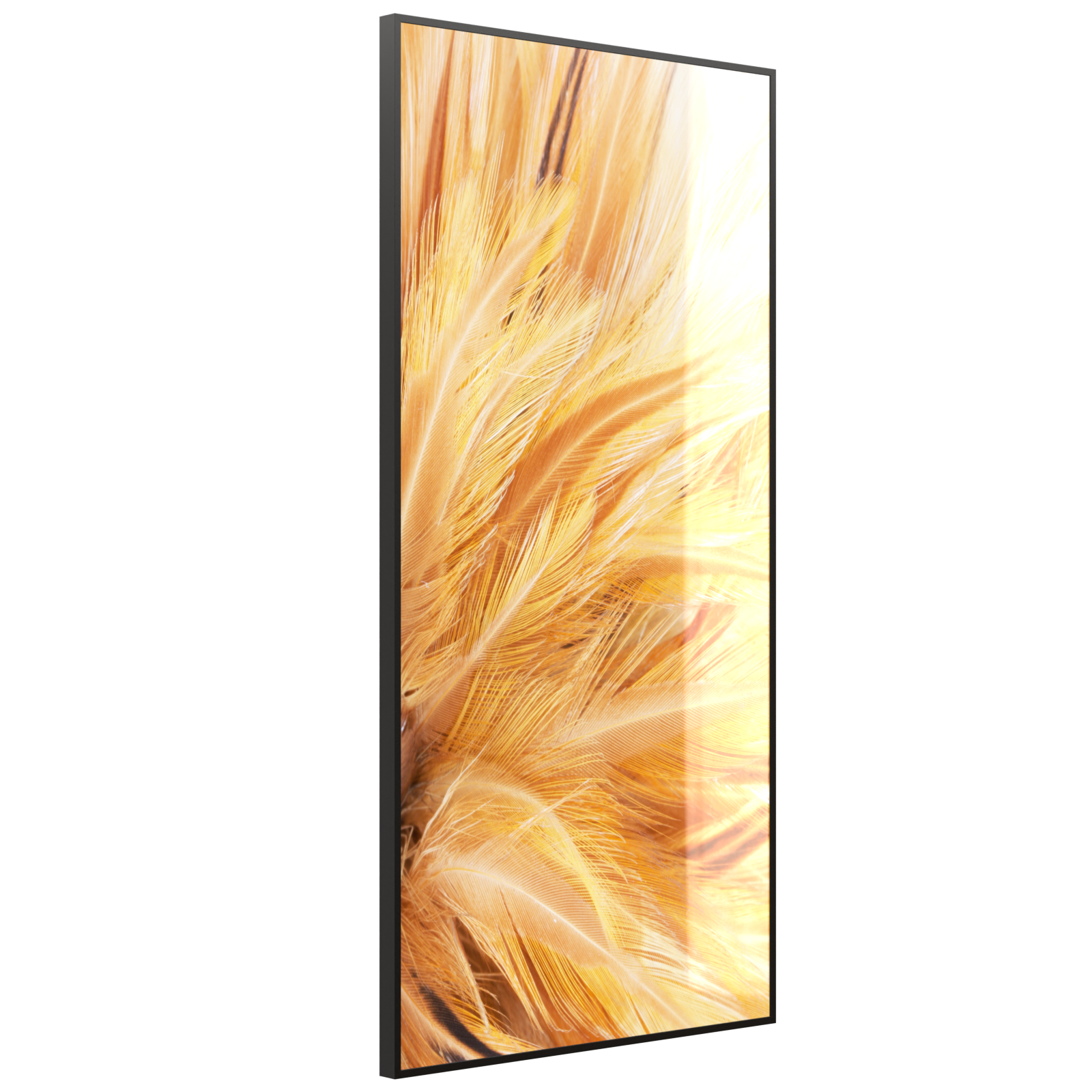 Deko Glas Wandbild Motiv 028H Federn