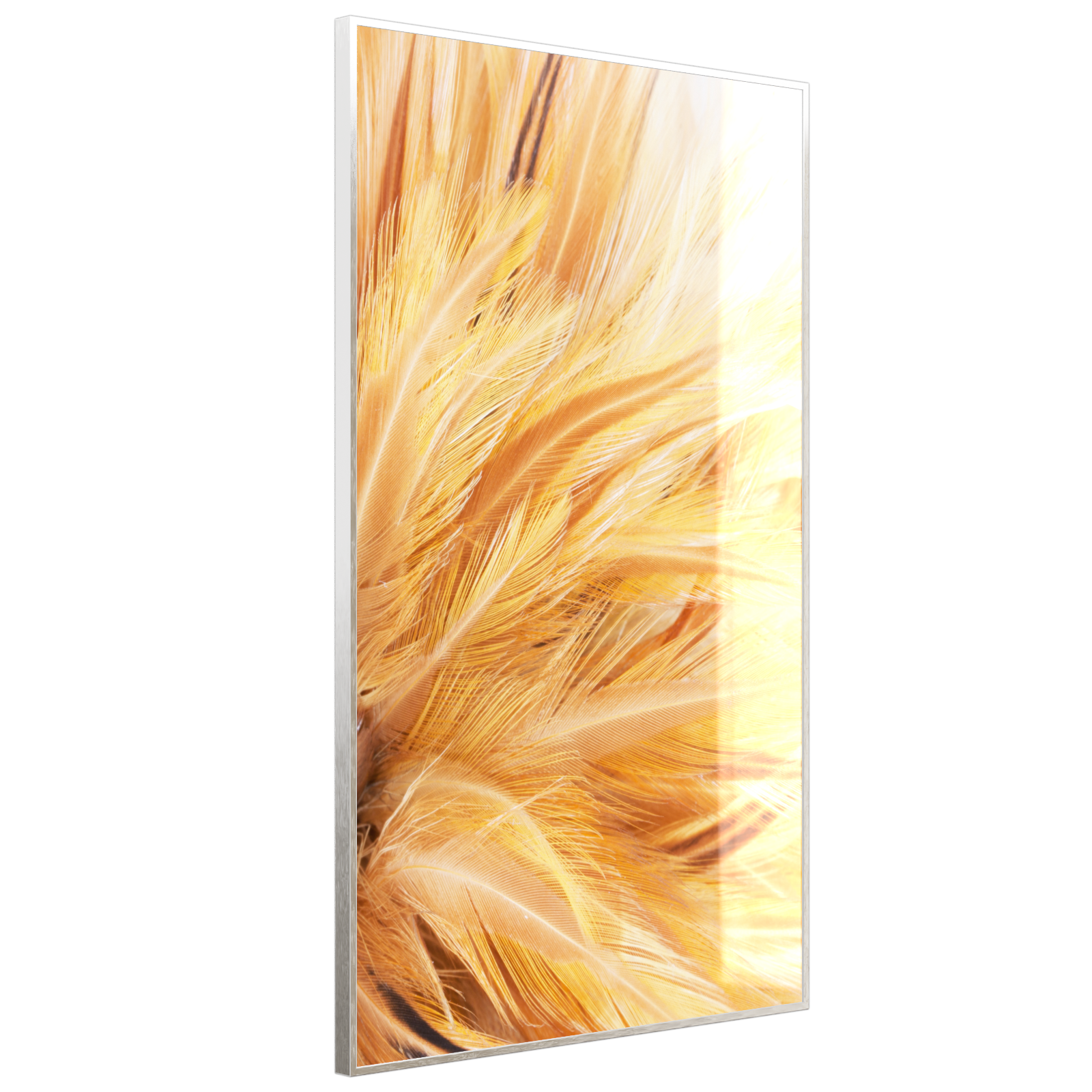 Deko Glas Wandbild Motiv 028H Federn